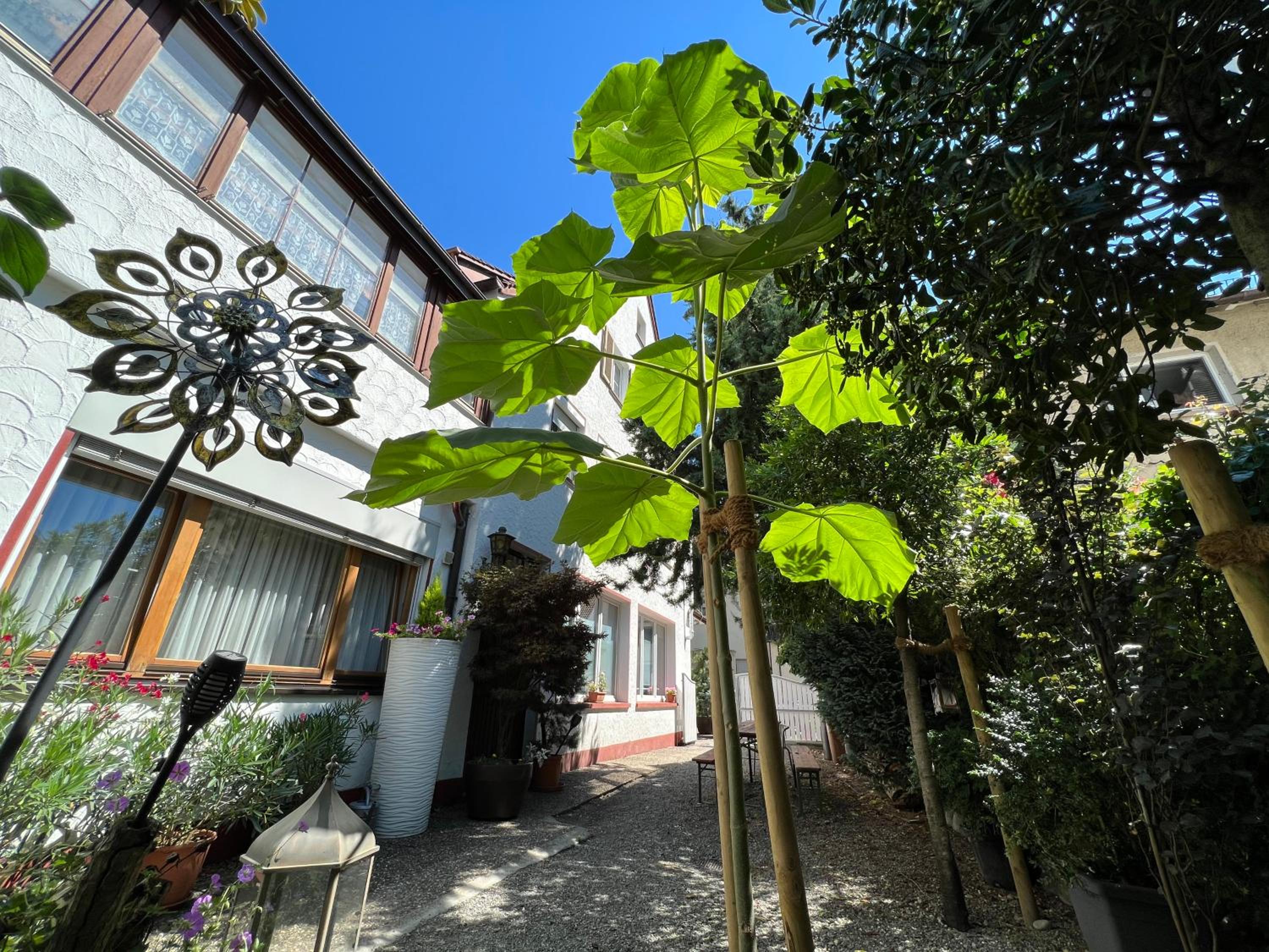 Haus Pia Executive Suites