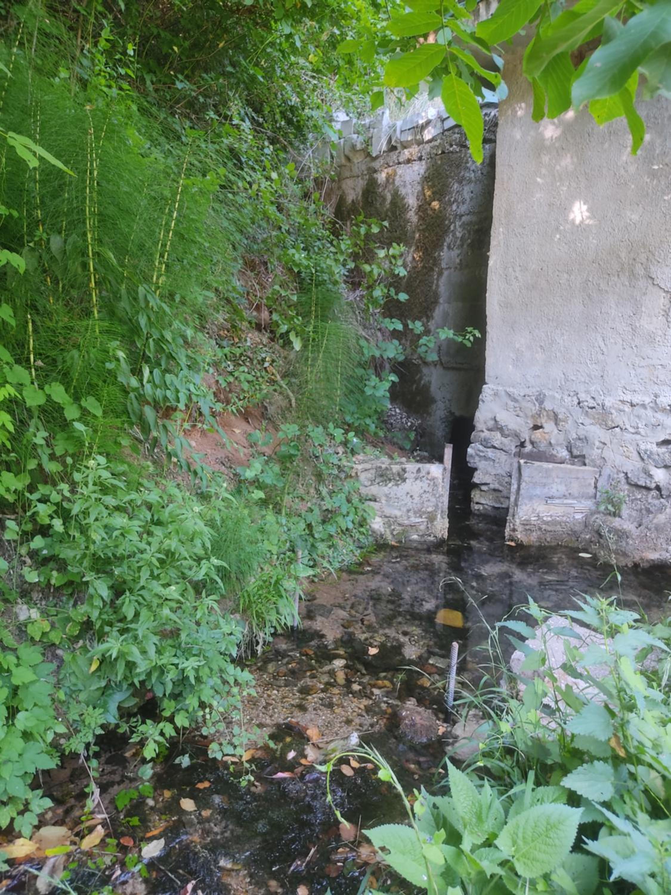 Photo 11