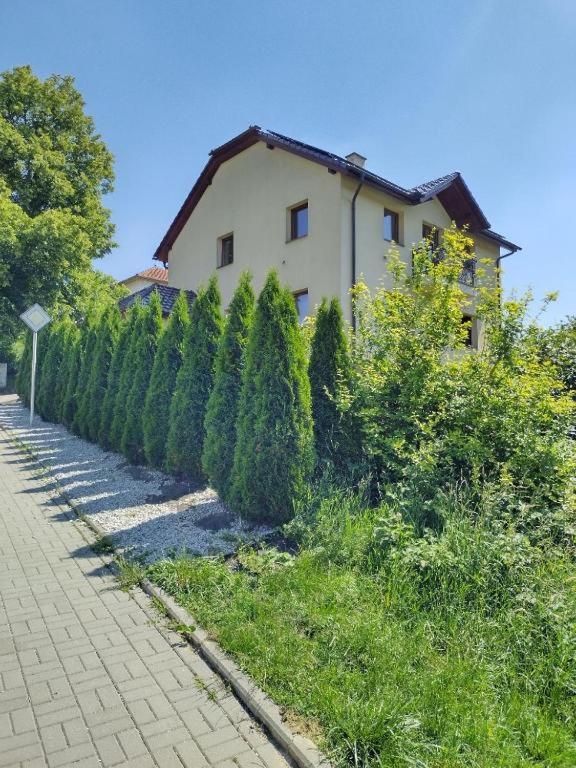 Photo 21