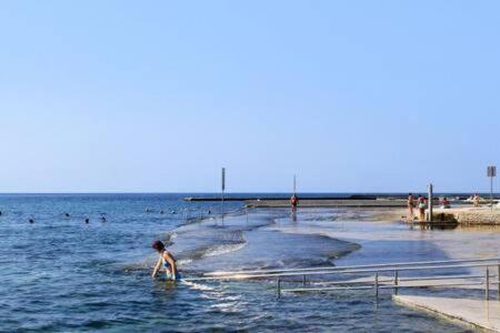 MURIN DELFIN view 5