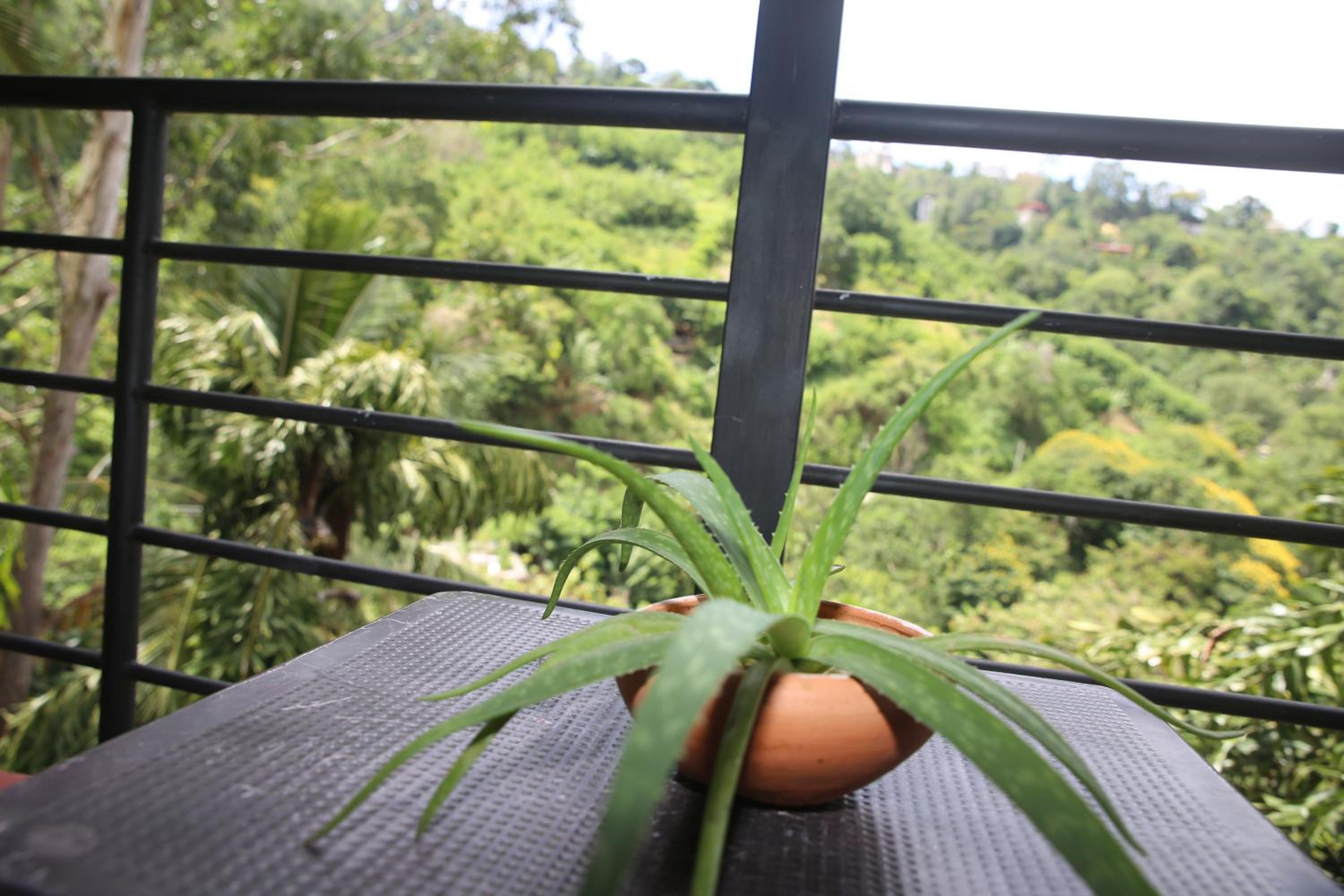 Rawana Mountain View Homestay view 4