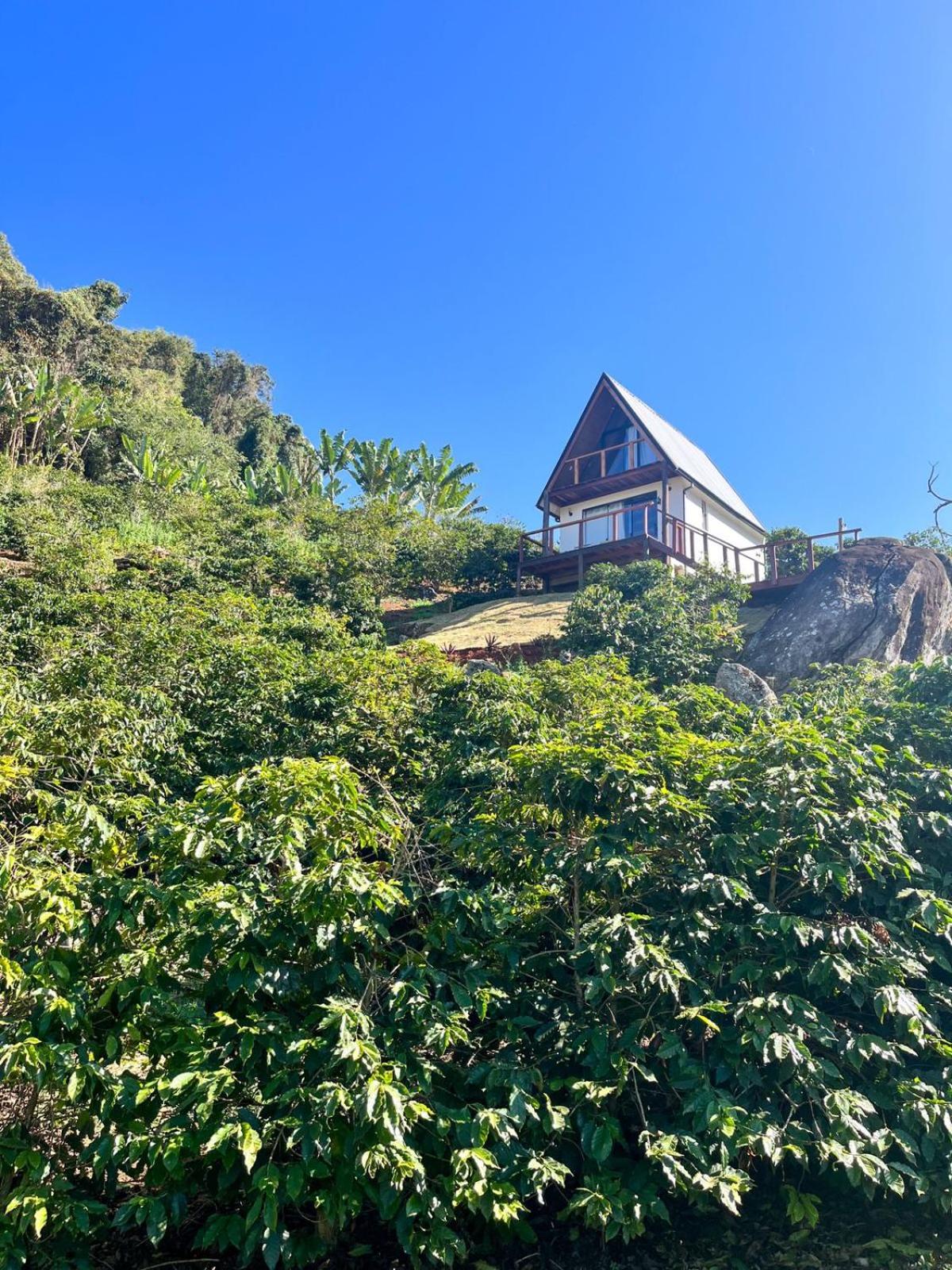 Casa Baldoni - Fazenda de Café