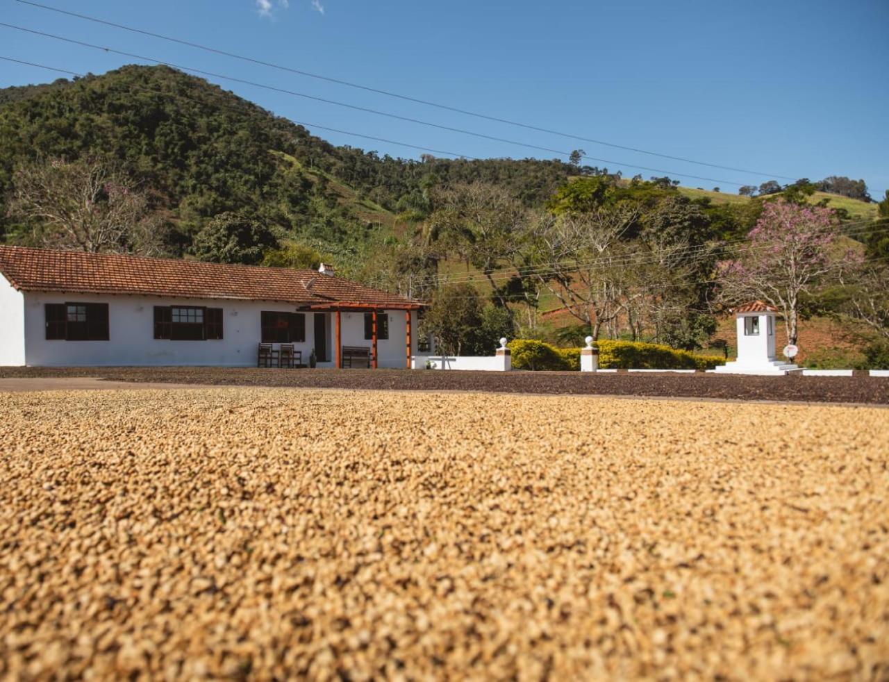 Casa Baldoni - Fazenda de Café