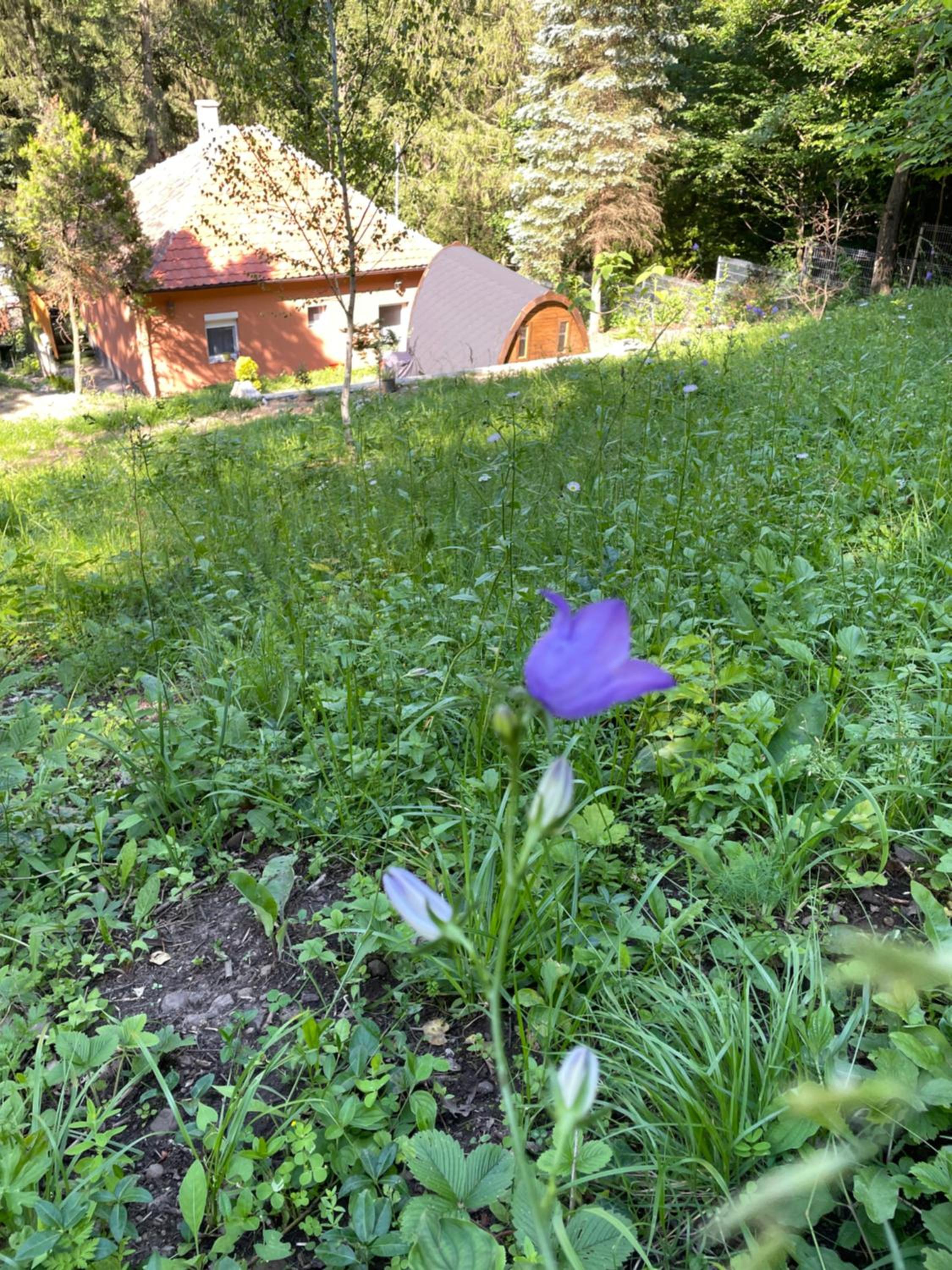 Photo 35
