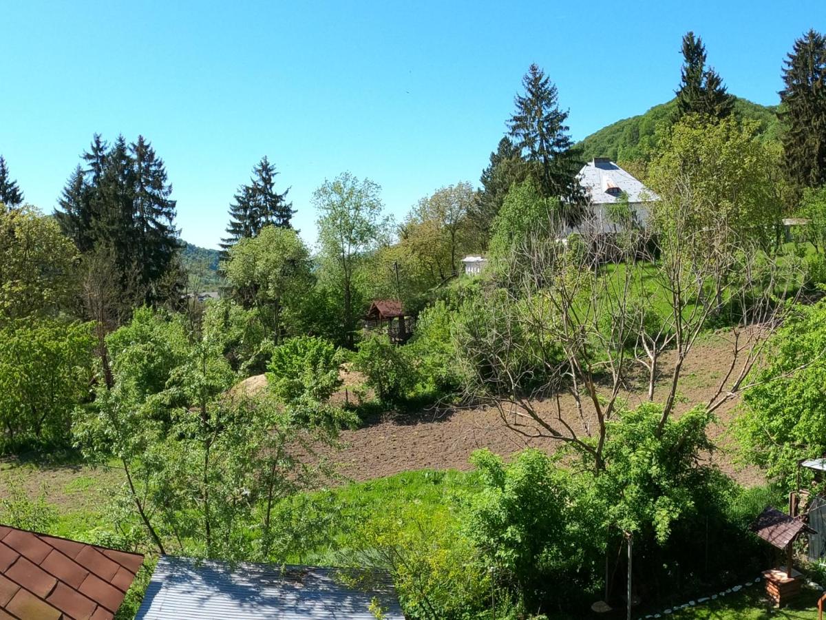 Photo 8