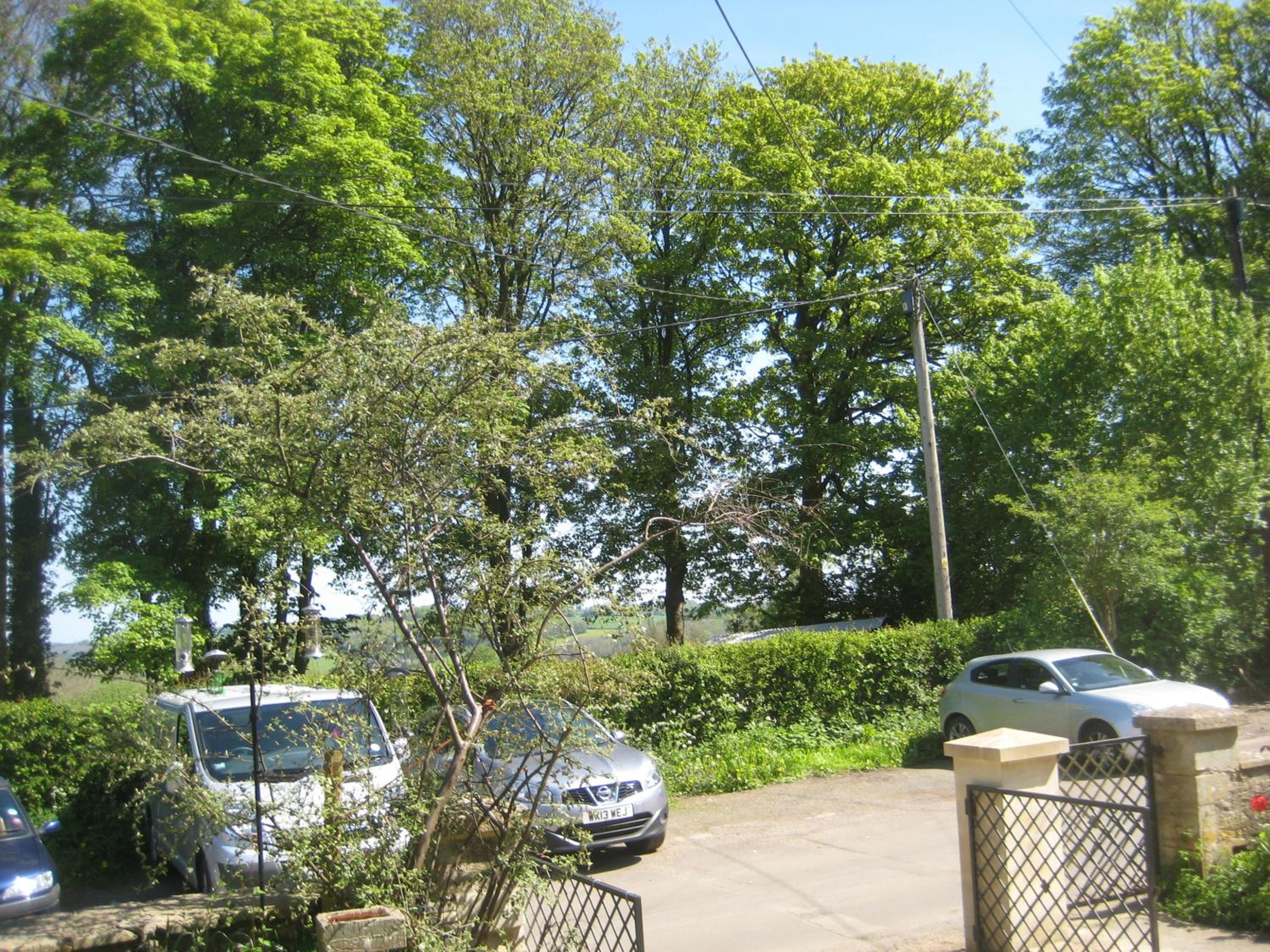 Prospect Cottage view 2