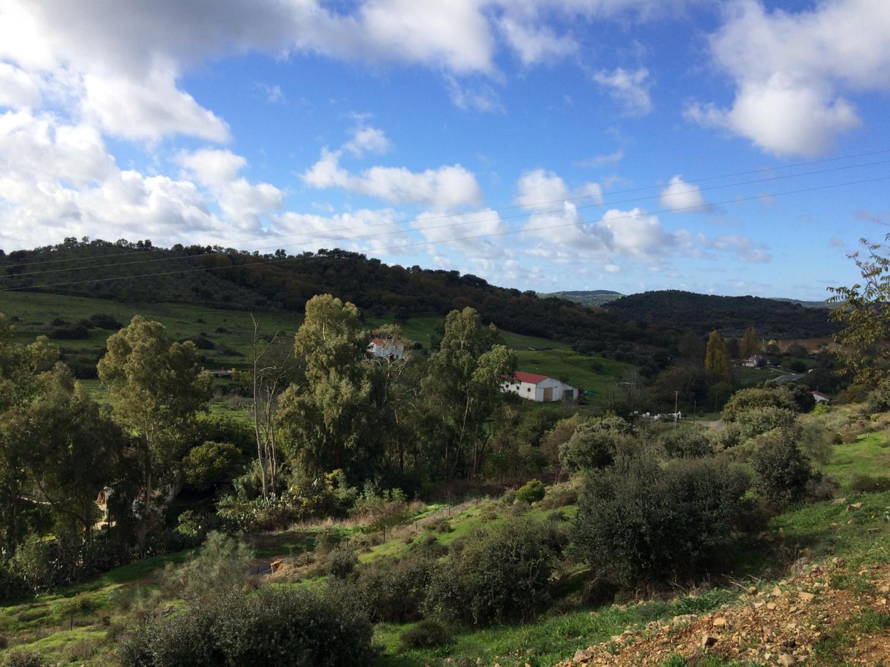 Photo 43