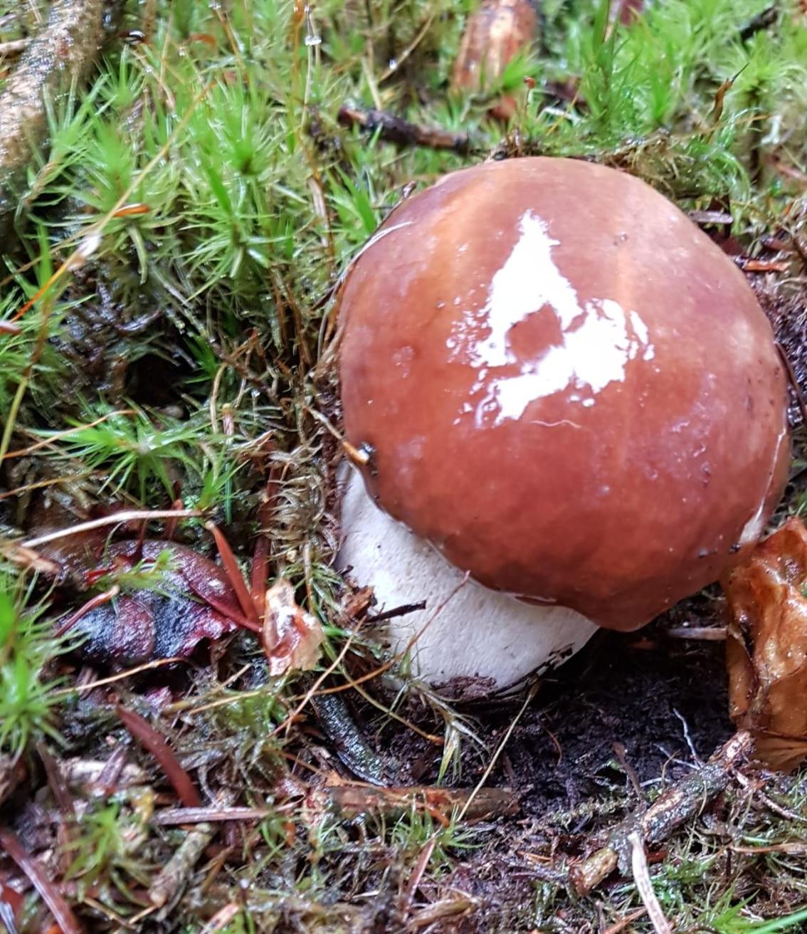 other