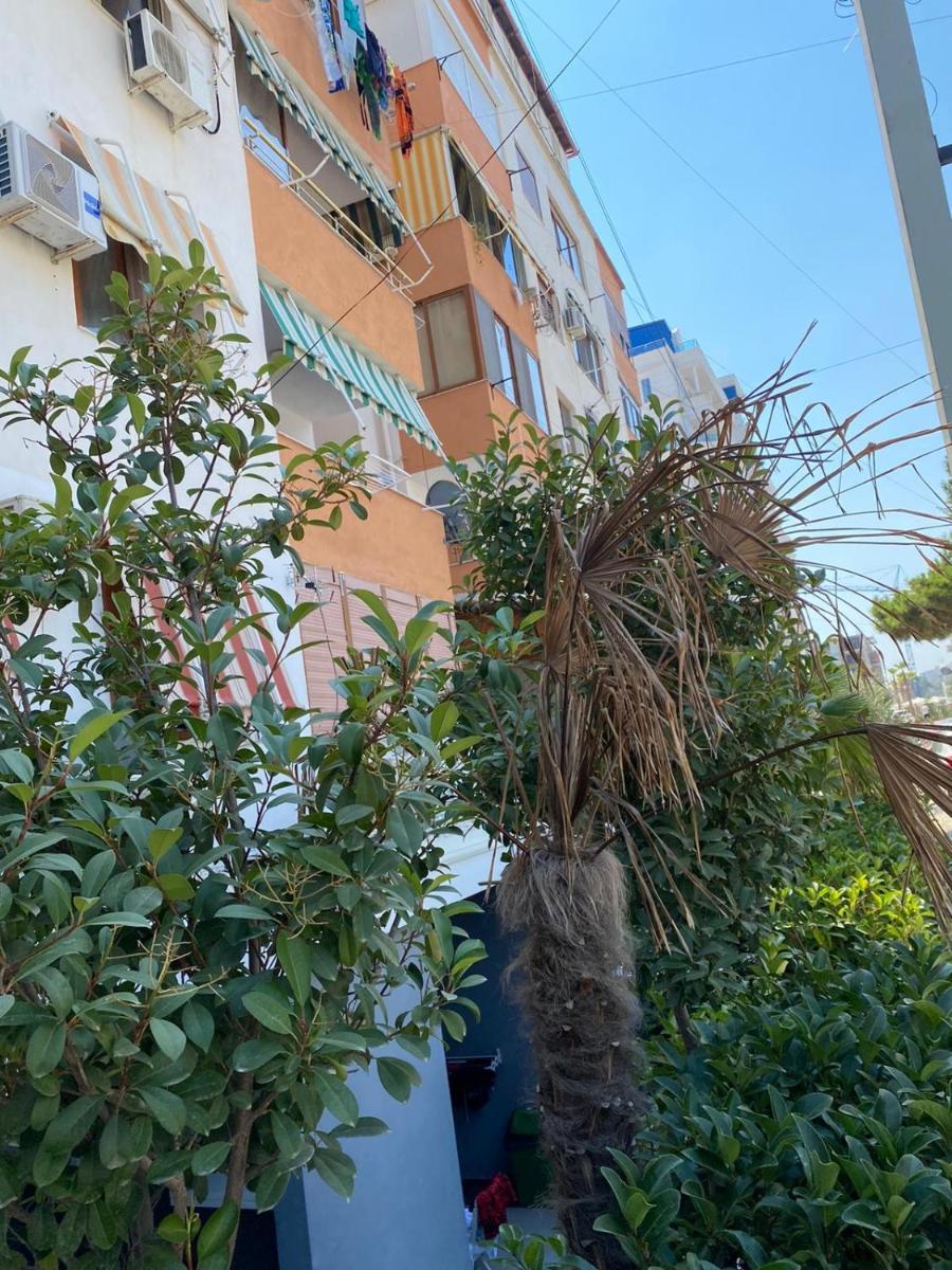 GardenView at the Sea Apartment photo 4