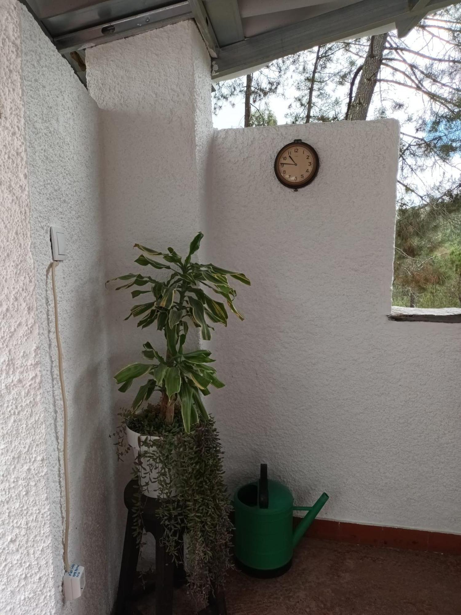 Photo 47