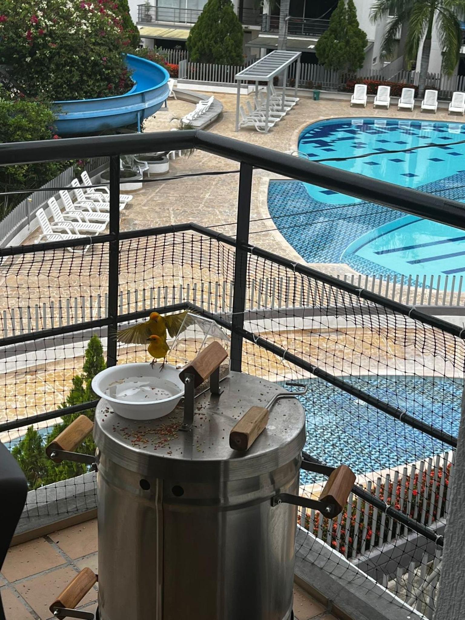 Hermoso apartasol en santafe de Antioquia.