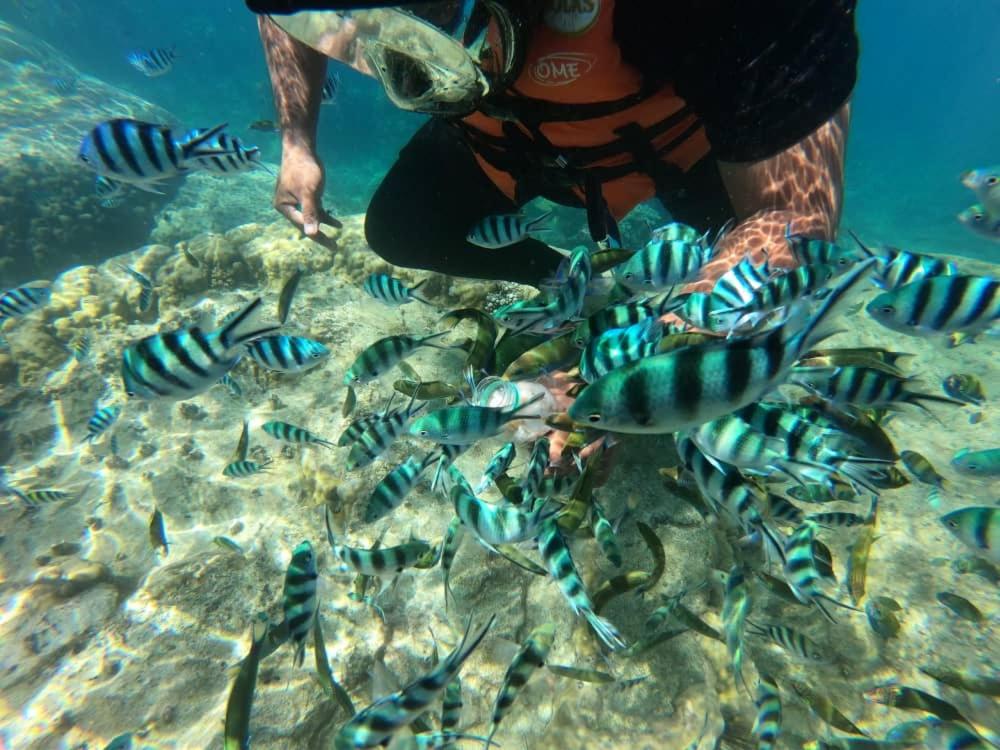 Perhentian Sri Tanjung , Kampung Nelayan Pulau Perhentian photo 7
