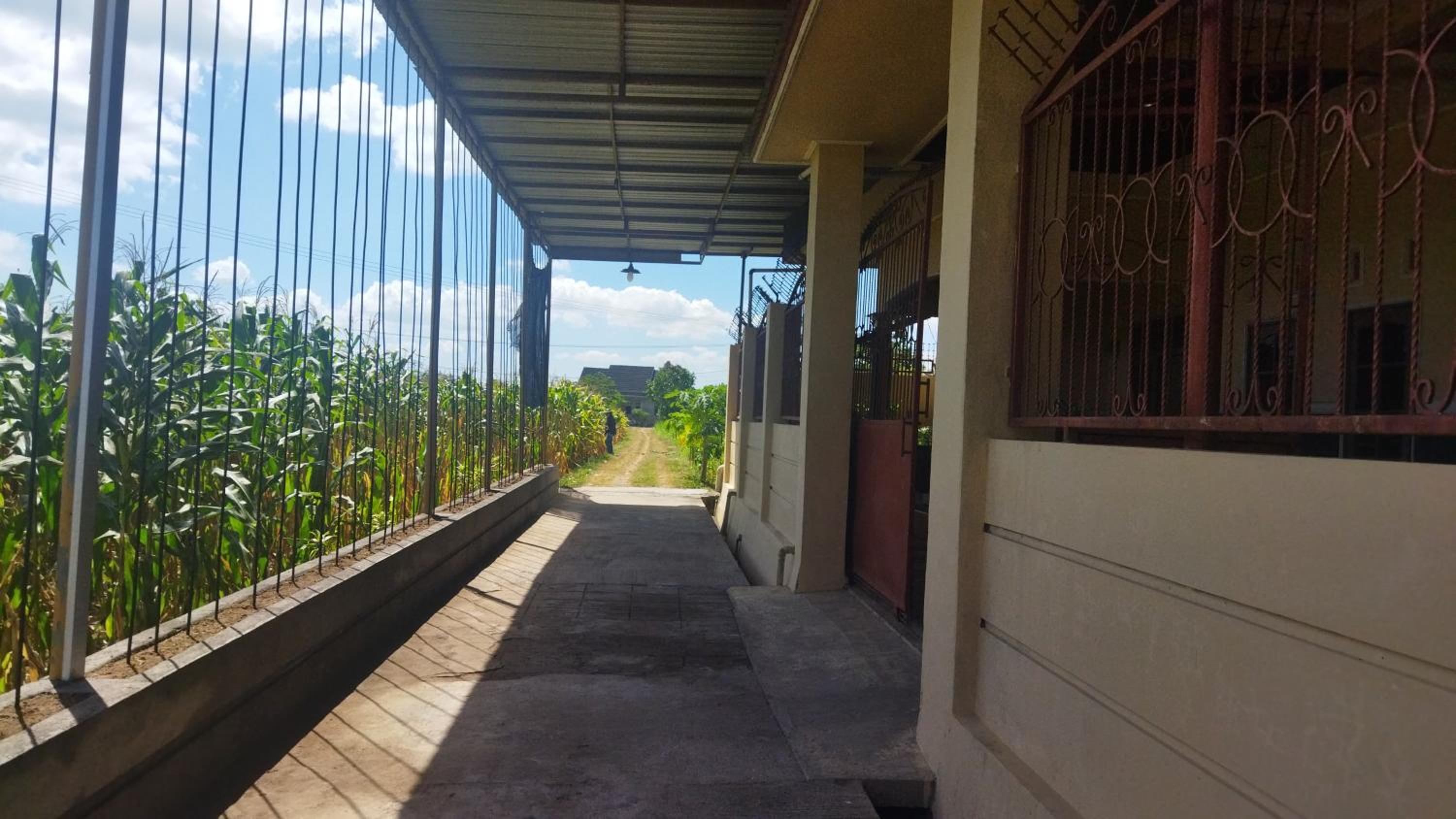 Bougenville Homestay view 2