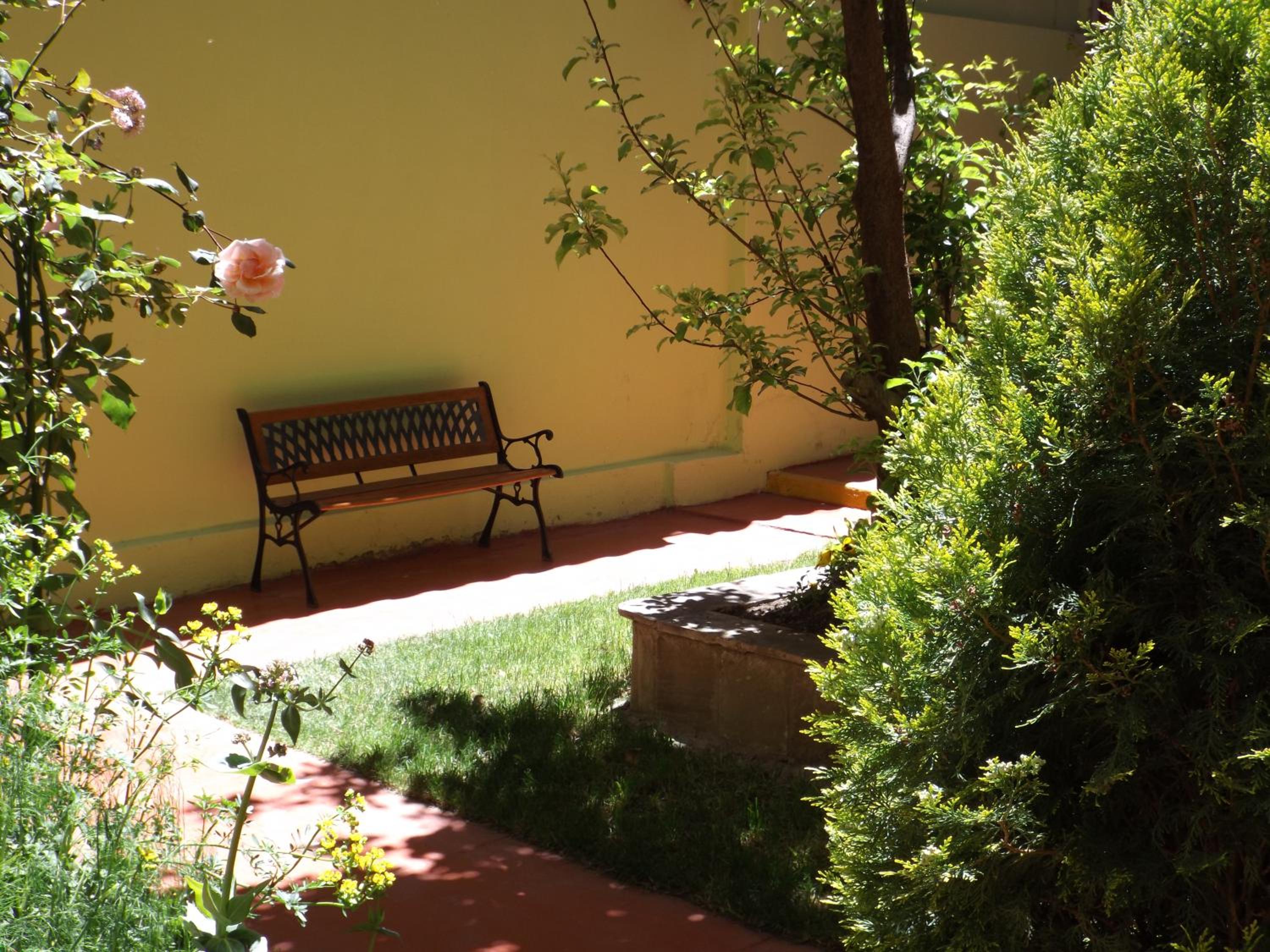 Photo 11