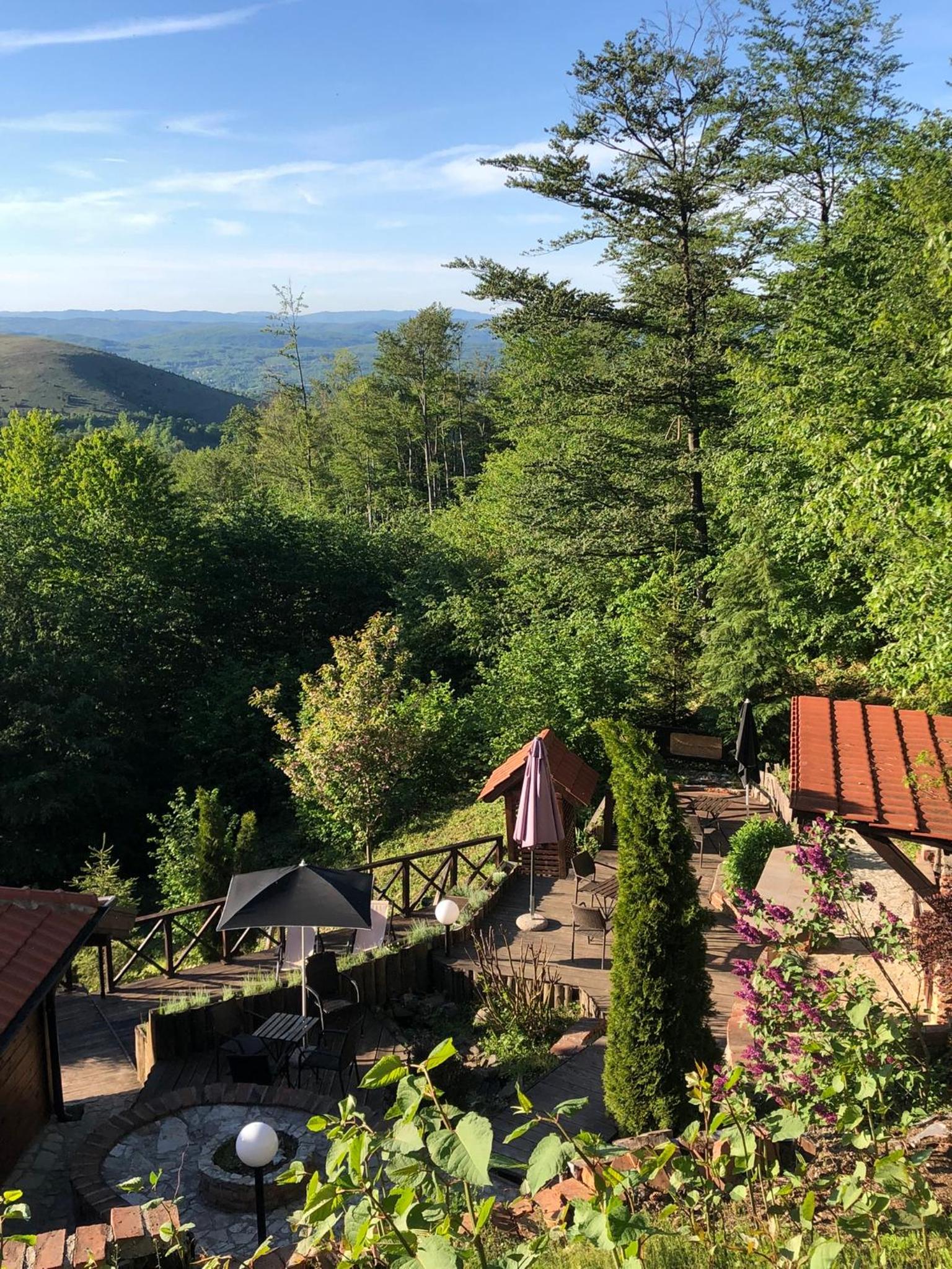Zlatibor Villa Janjić view 5