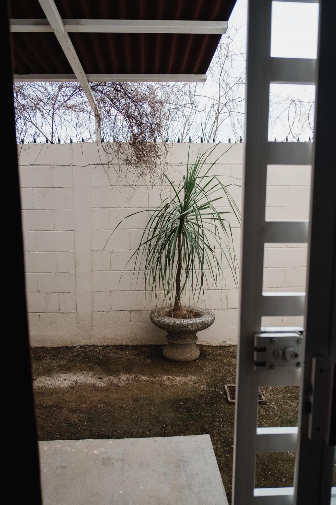Photo 42