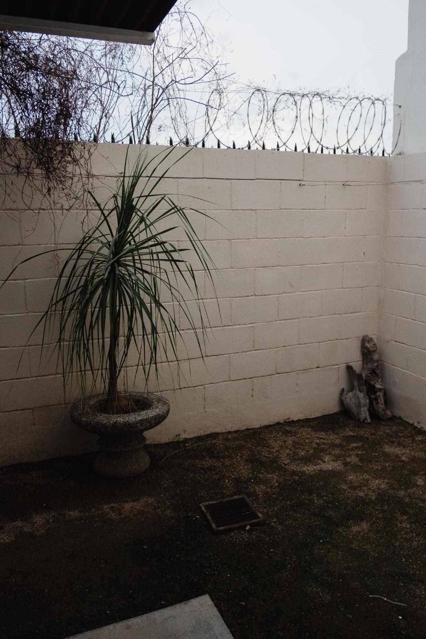 Photo 43