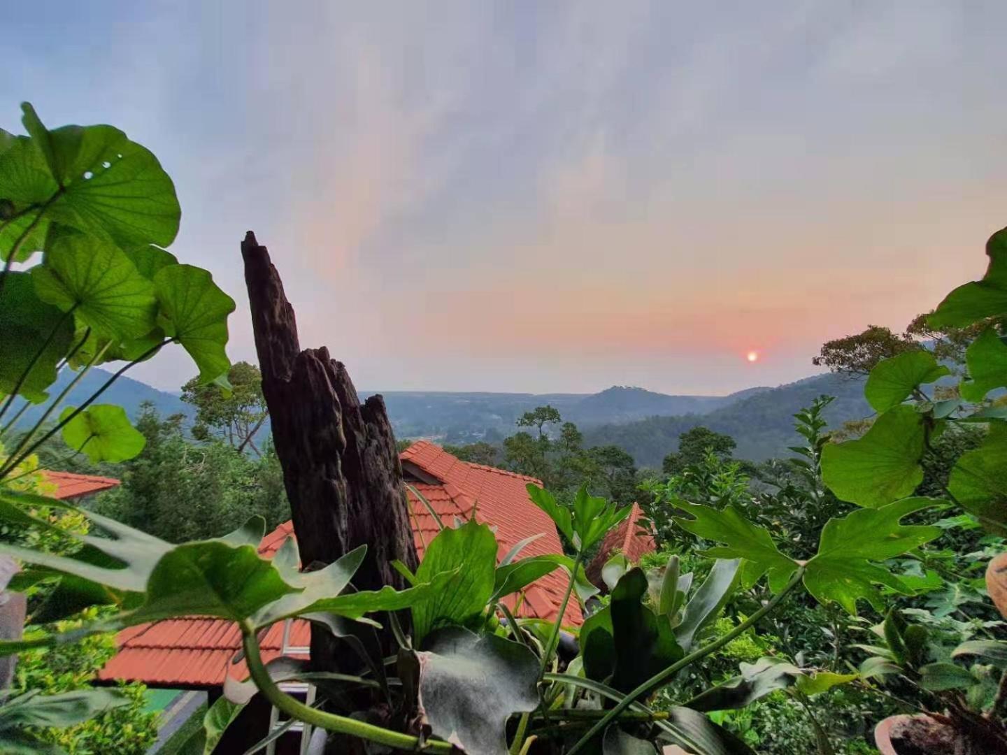 Bao Sheng Durian Farm