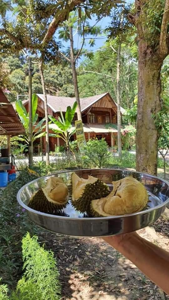 Jimmy Durian Orchard photo 5
