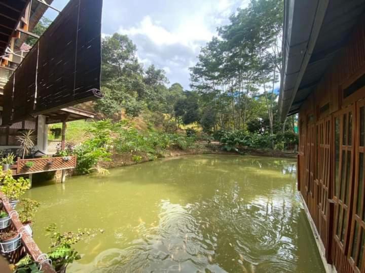 Jimmy Durian Orchard photo 7