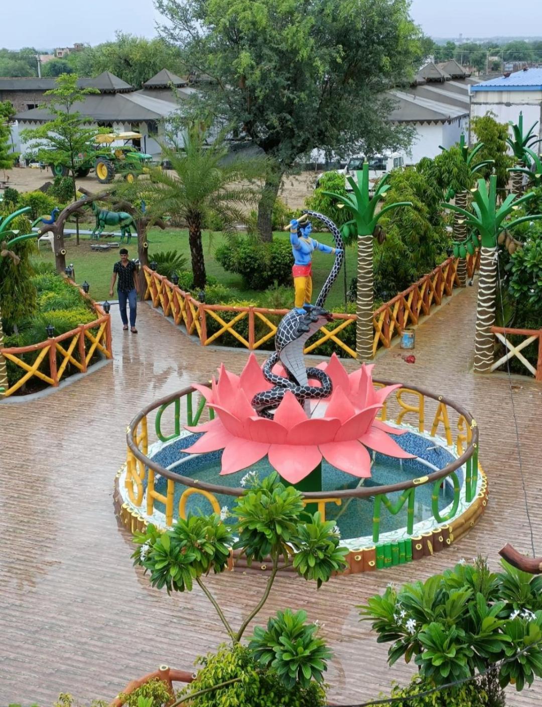 activities & amenities