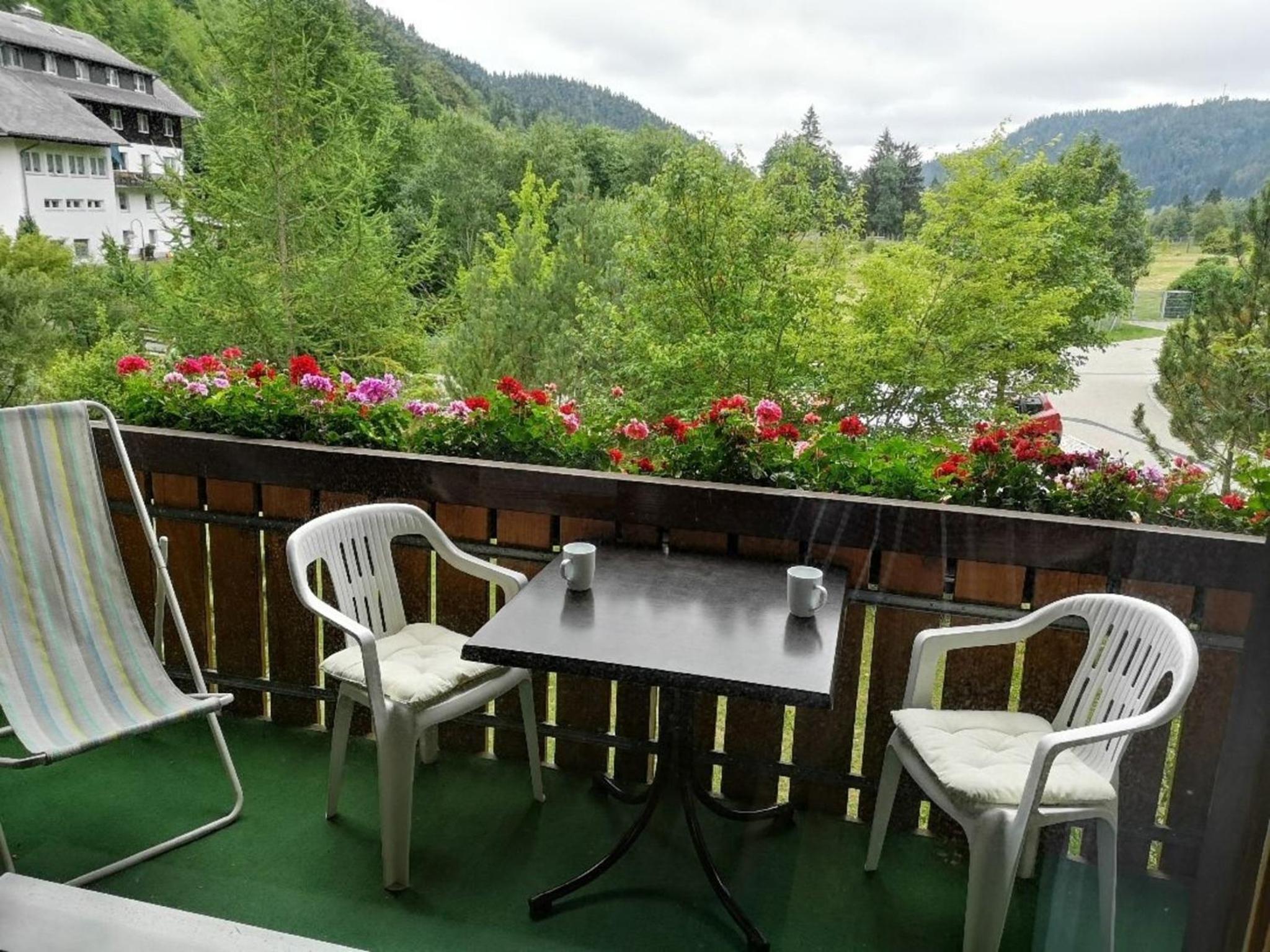 B5 Schwarzwald-Fewo an der Alb