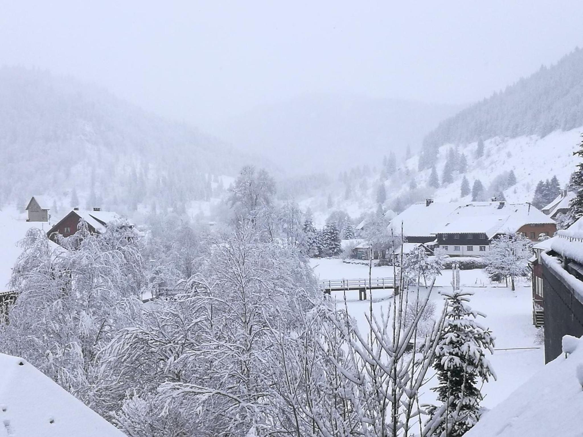 B5 Schwarzwald-Fewo an der Alb