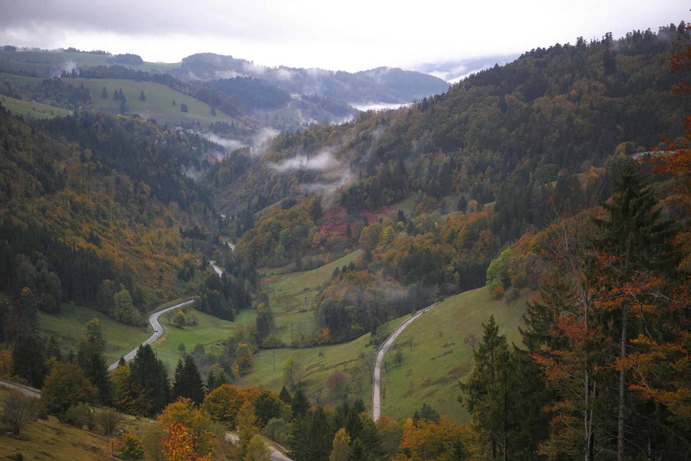 B5 Schwarzwald-Fewo an der Alb