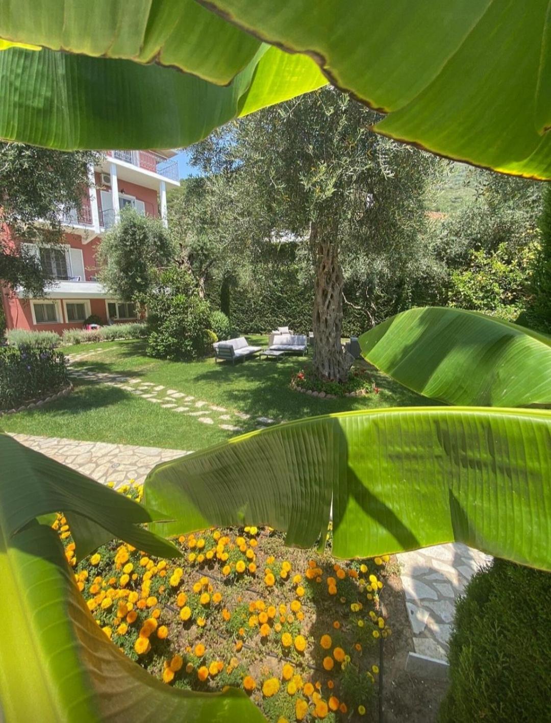 Vassilis Guest House