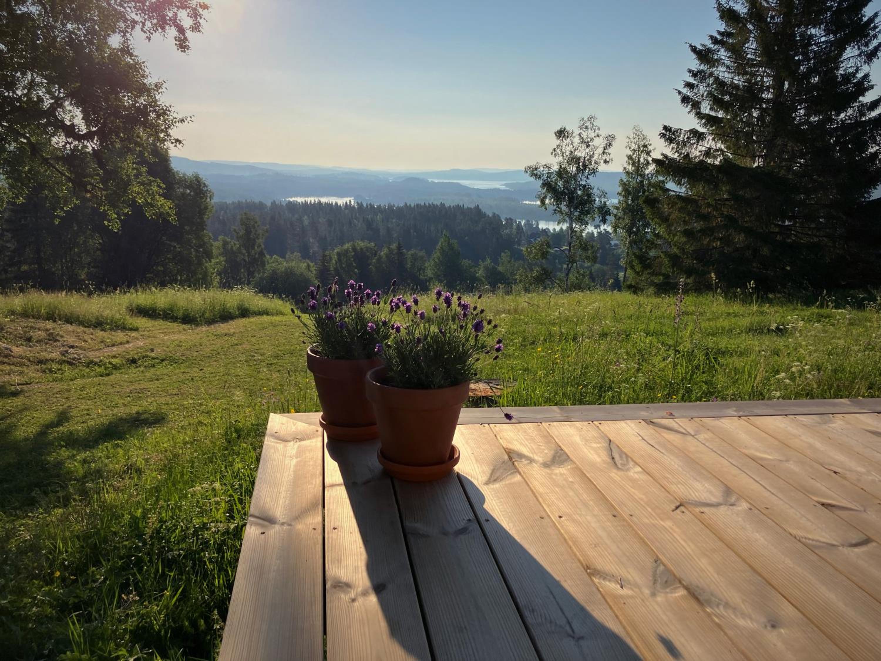 Bakgården i Revsund view 5