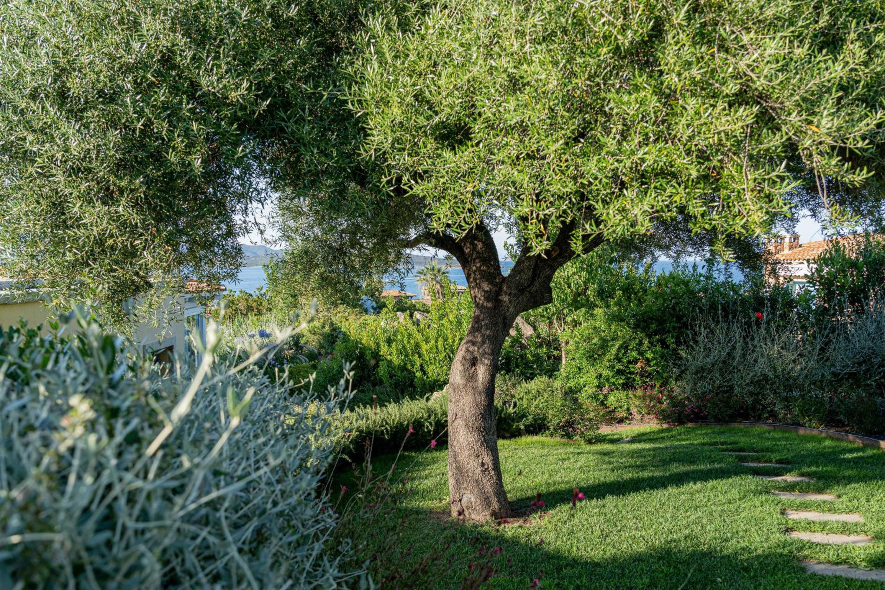 Villa Puntaldia