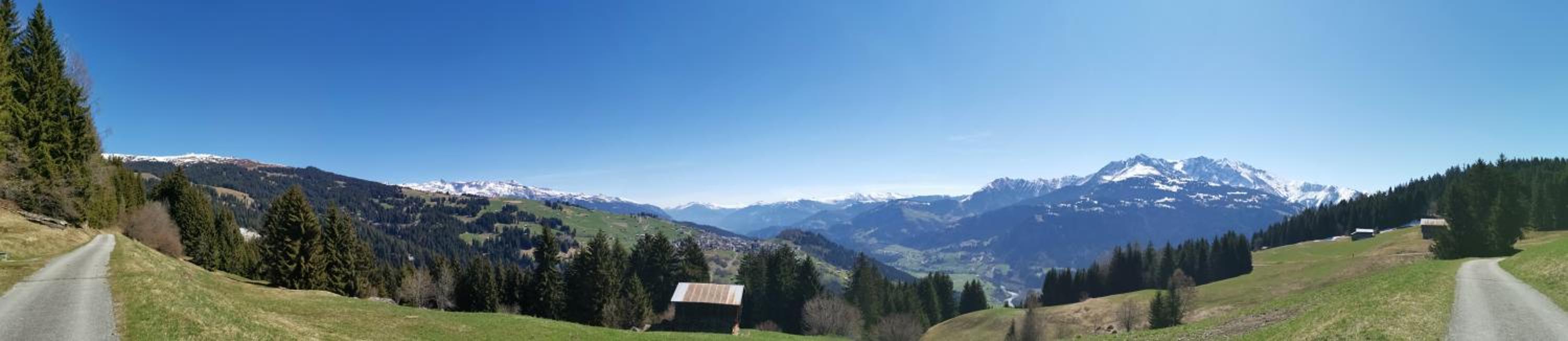 Photo 33