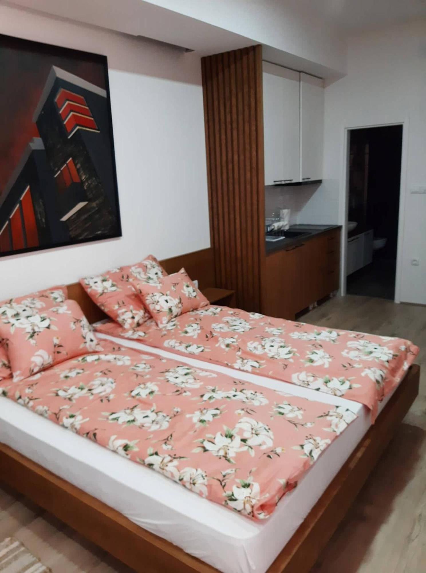 Apartment Mašić view 2