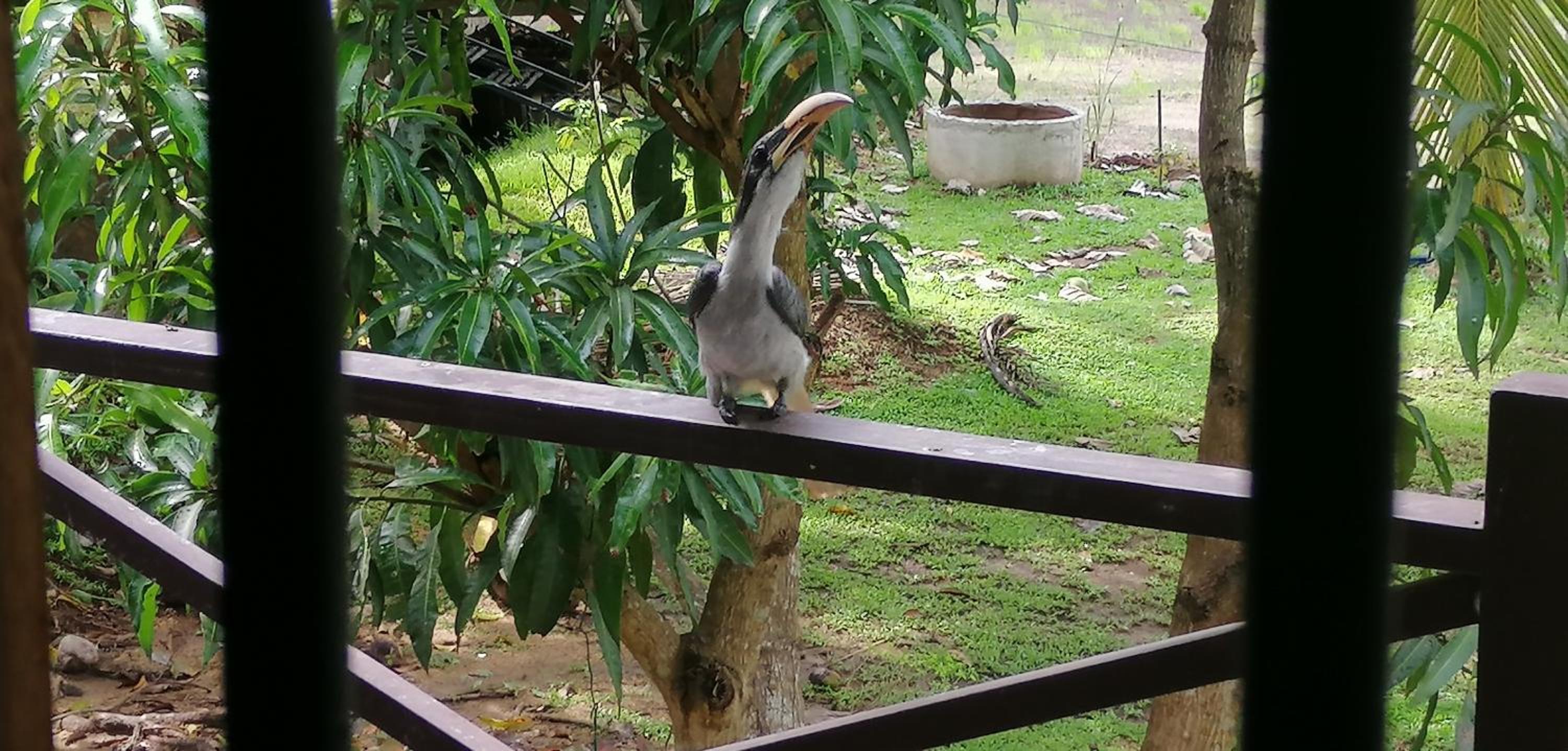 Rajarata Family Resort