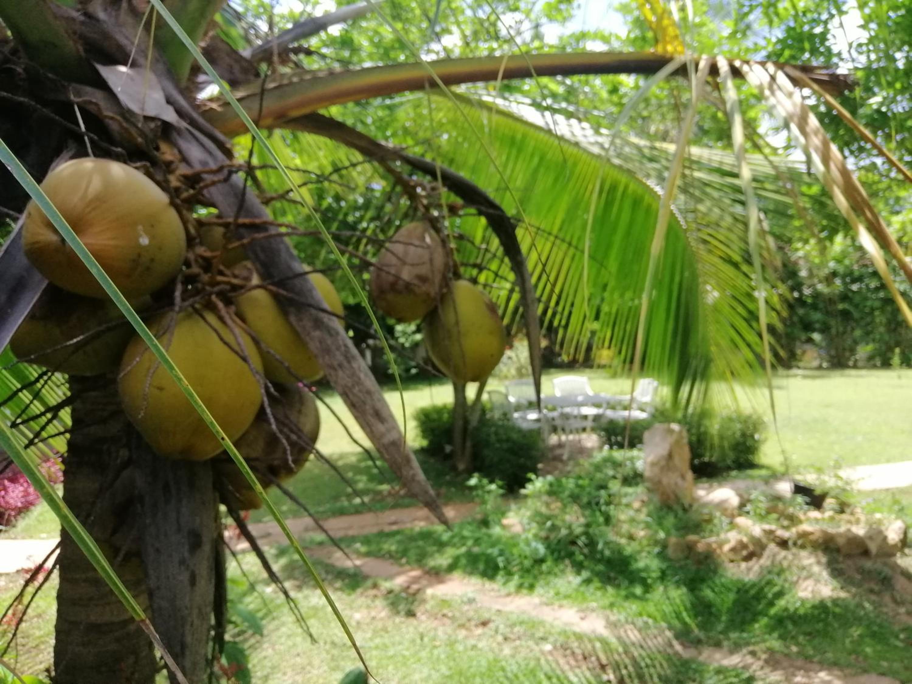 Rajarata Family Resort