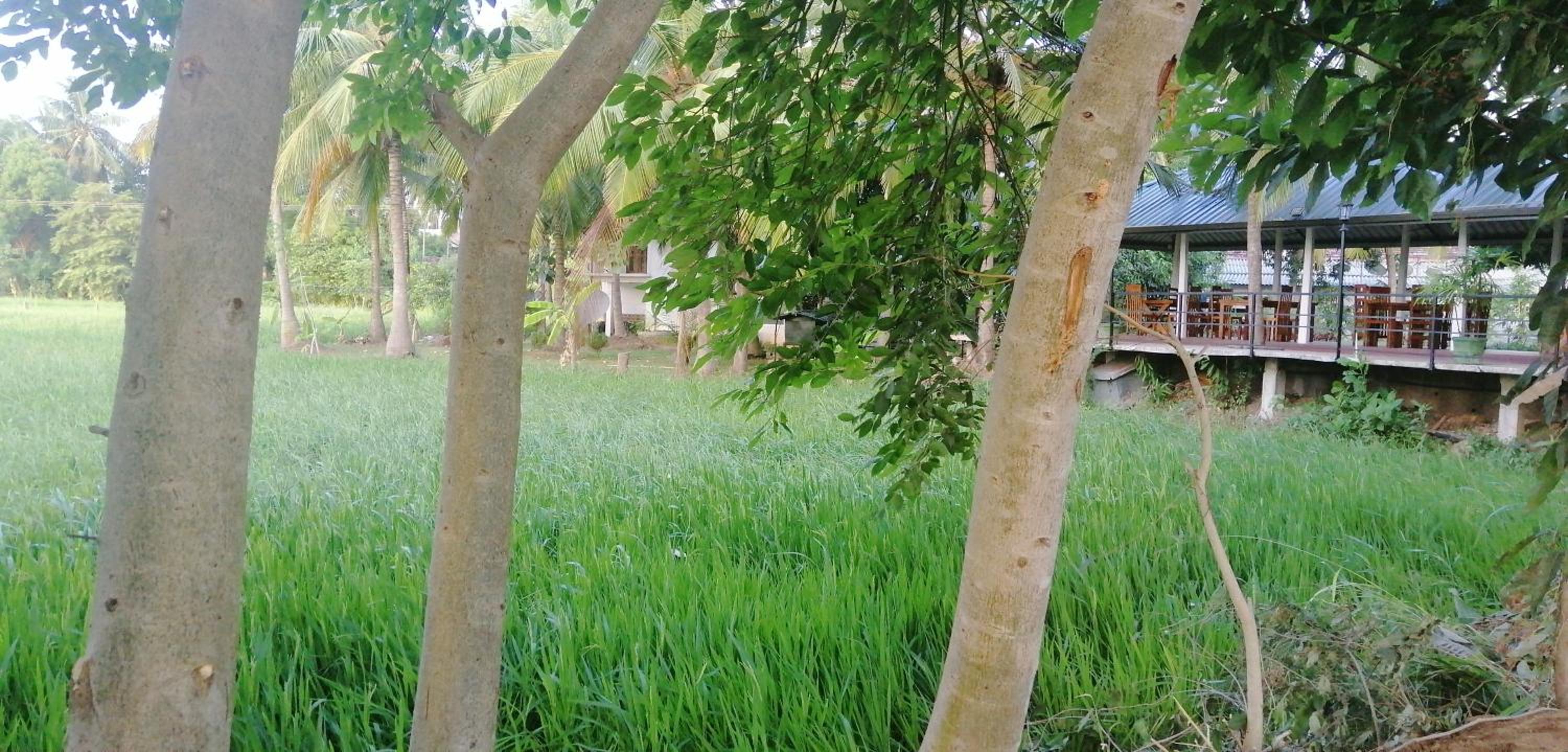 Rajarata Family Resort