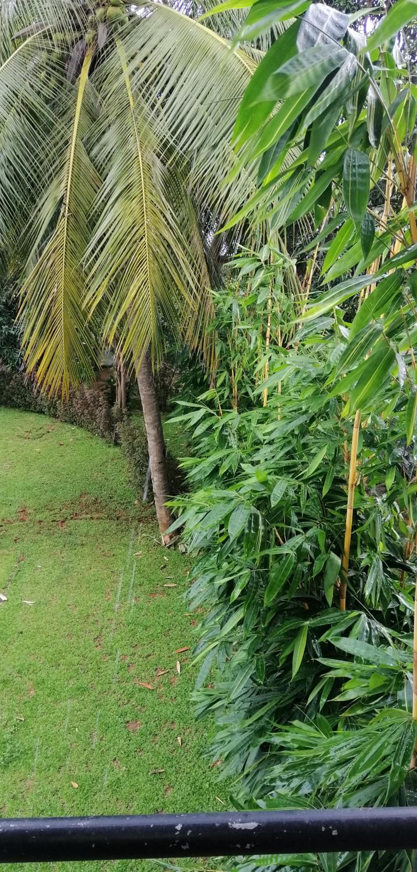 Rajarata Family Resort