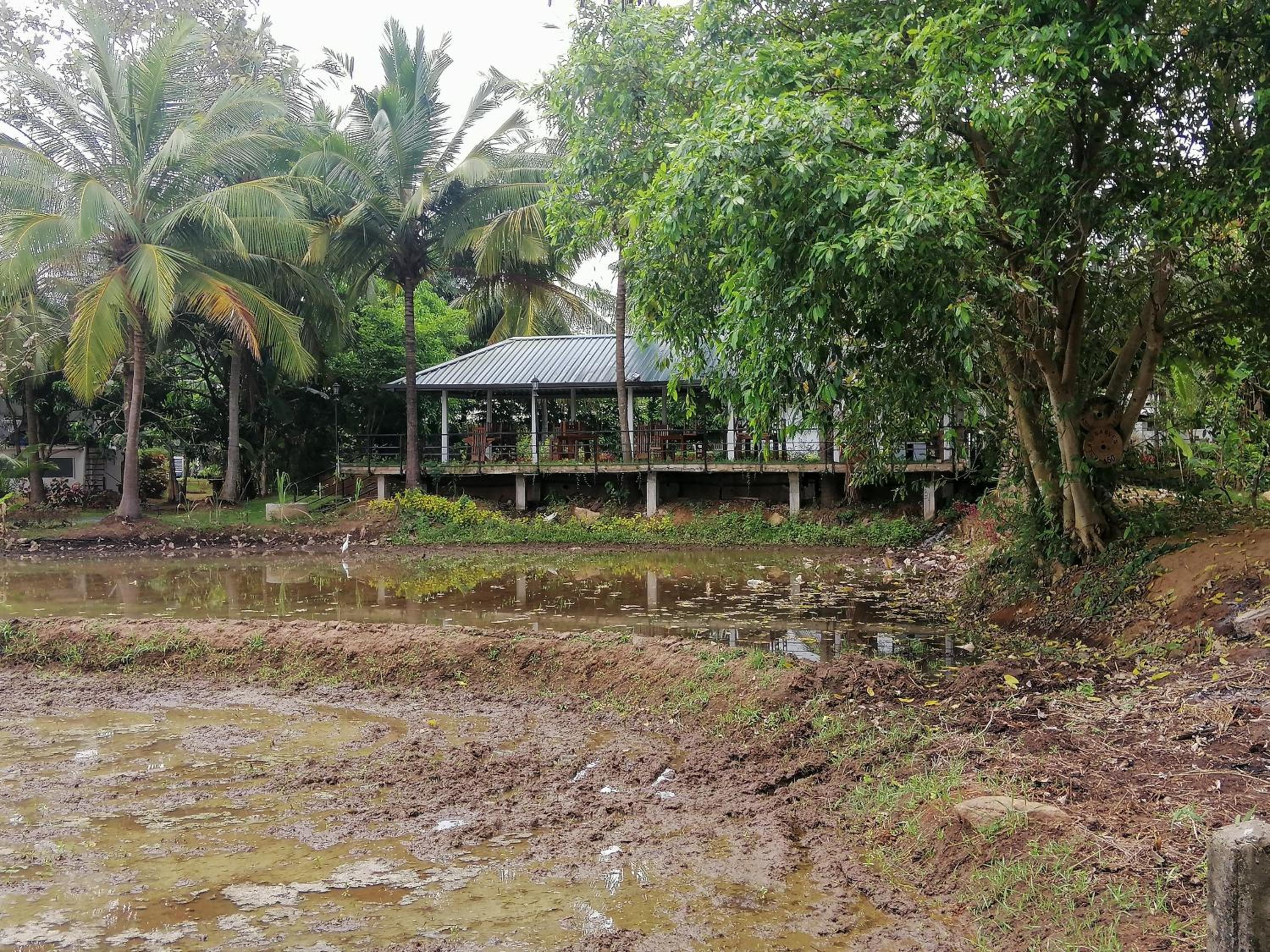 Rajarata Family Resort