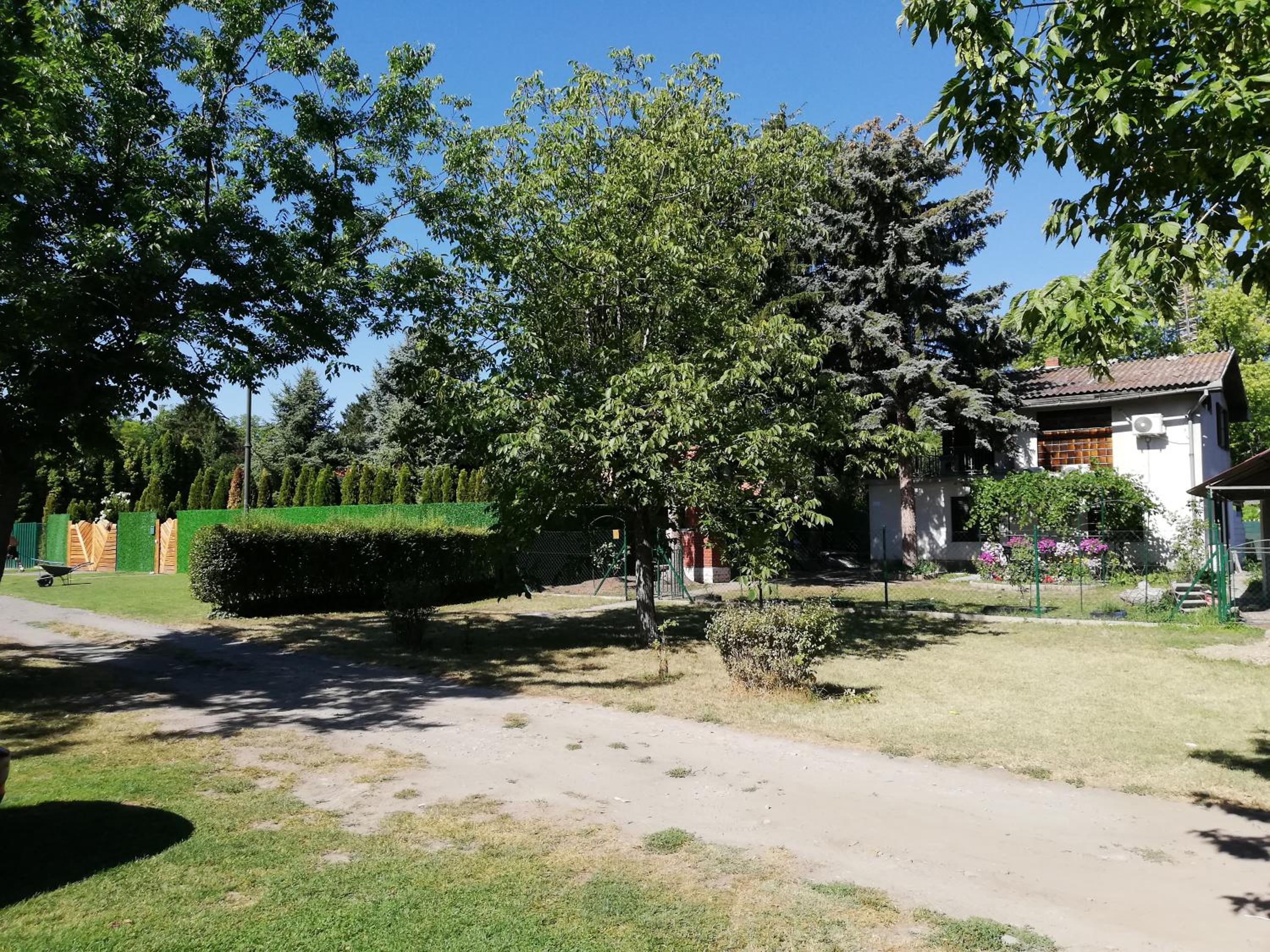 Palićka ruža - Palic rose view 3