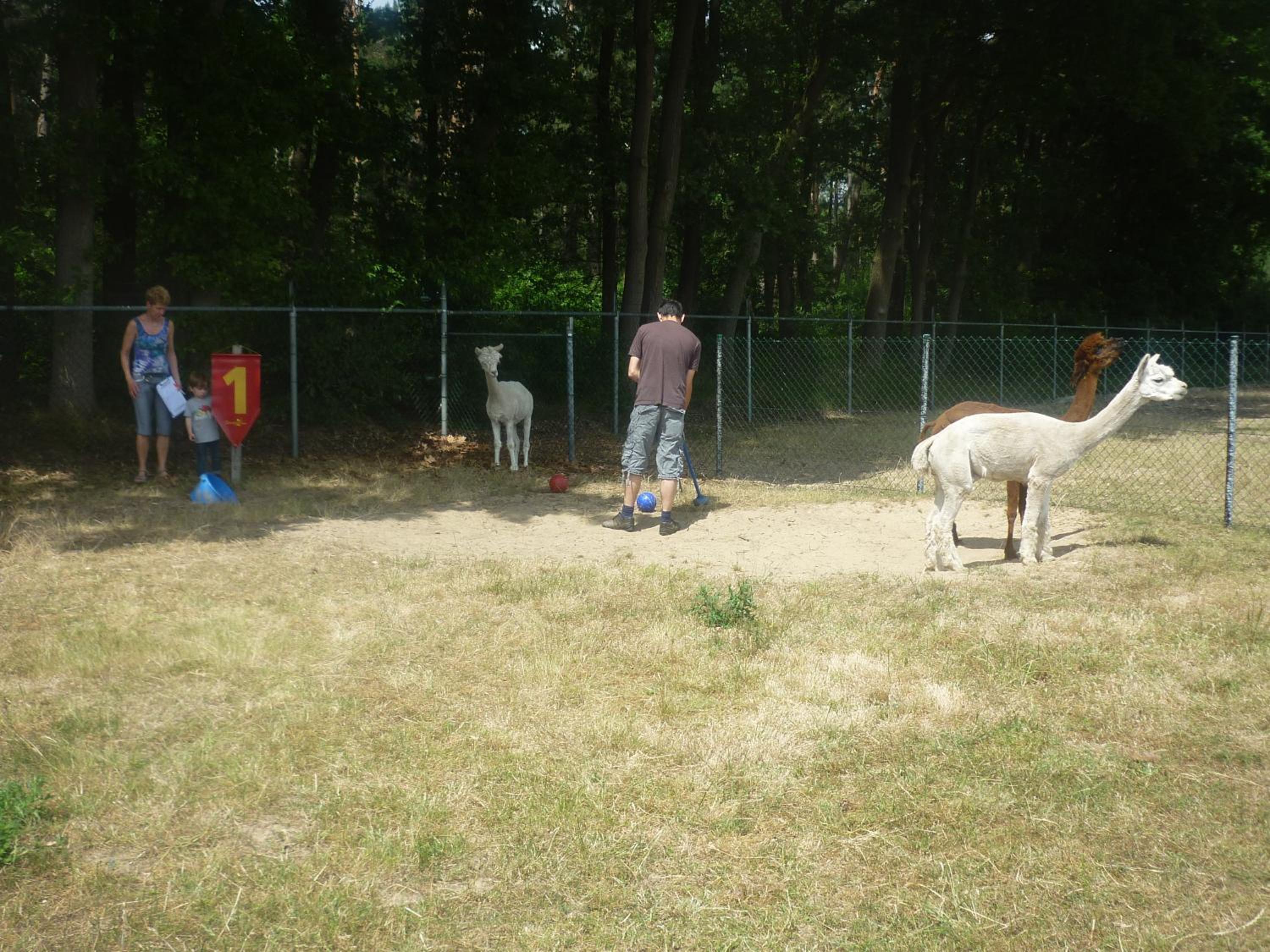Photo 18