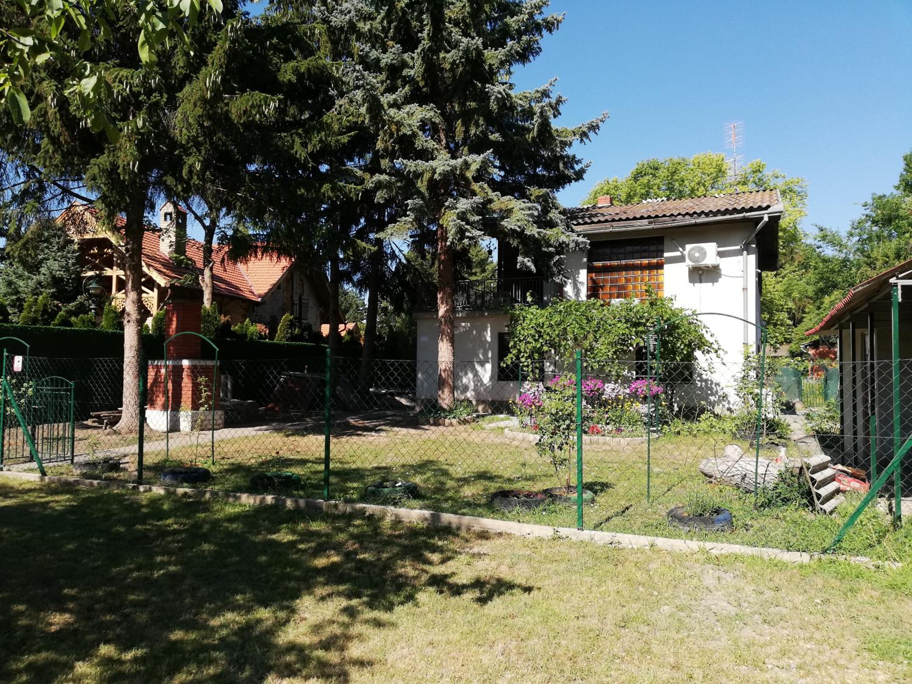 Palićka ruža - Palic rose view 4