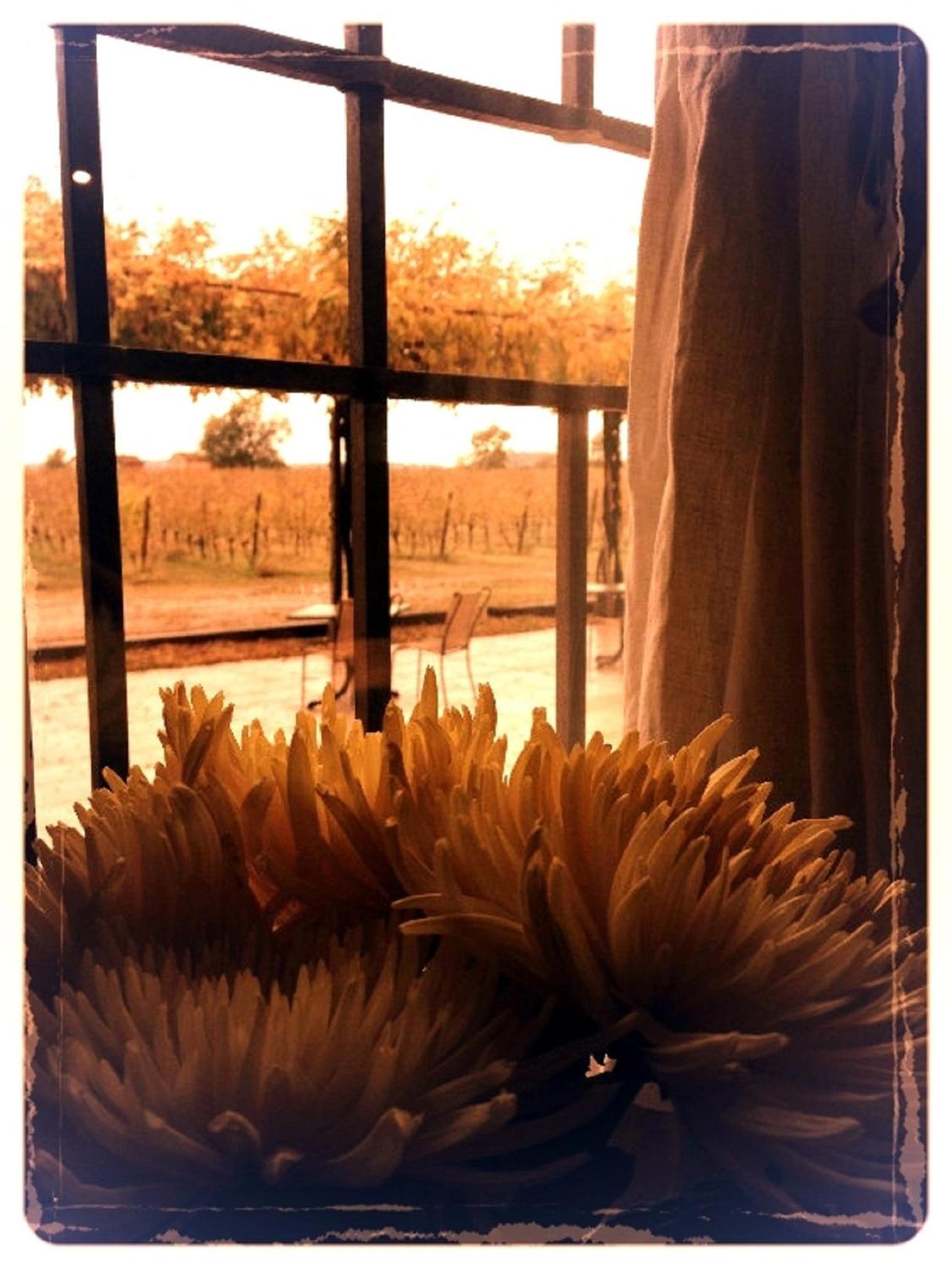Dimora Buglioni Wine Relais, photo 60