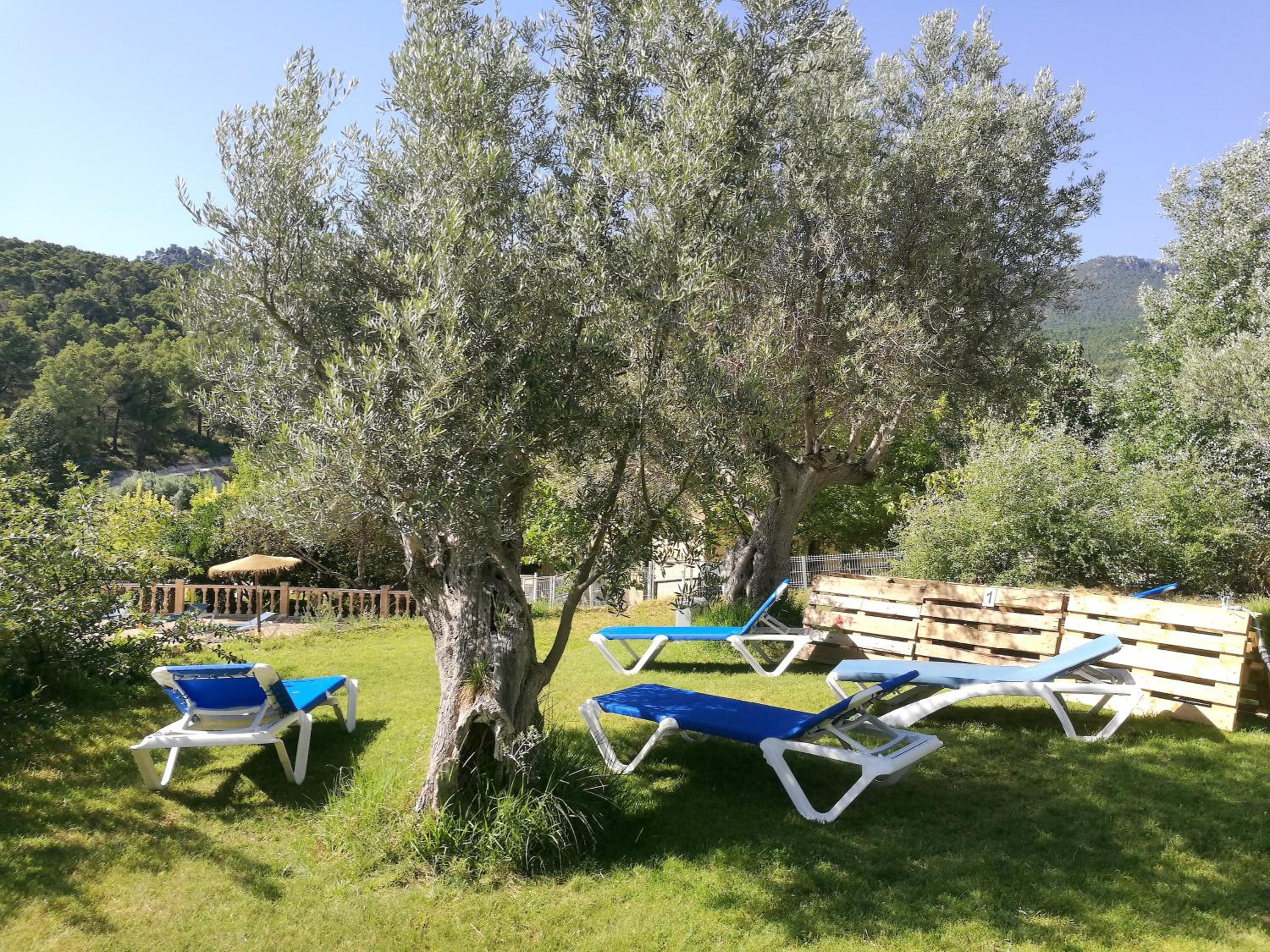 Finca La Celada