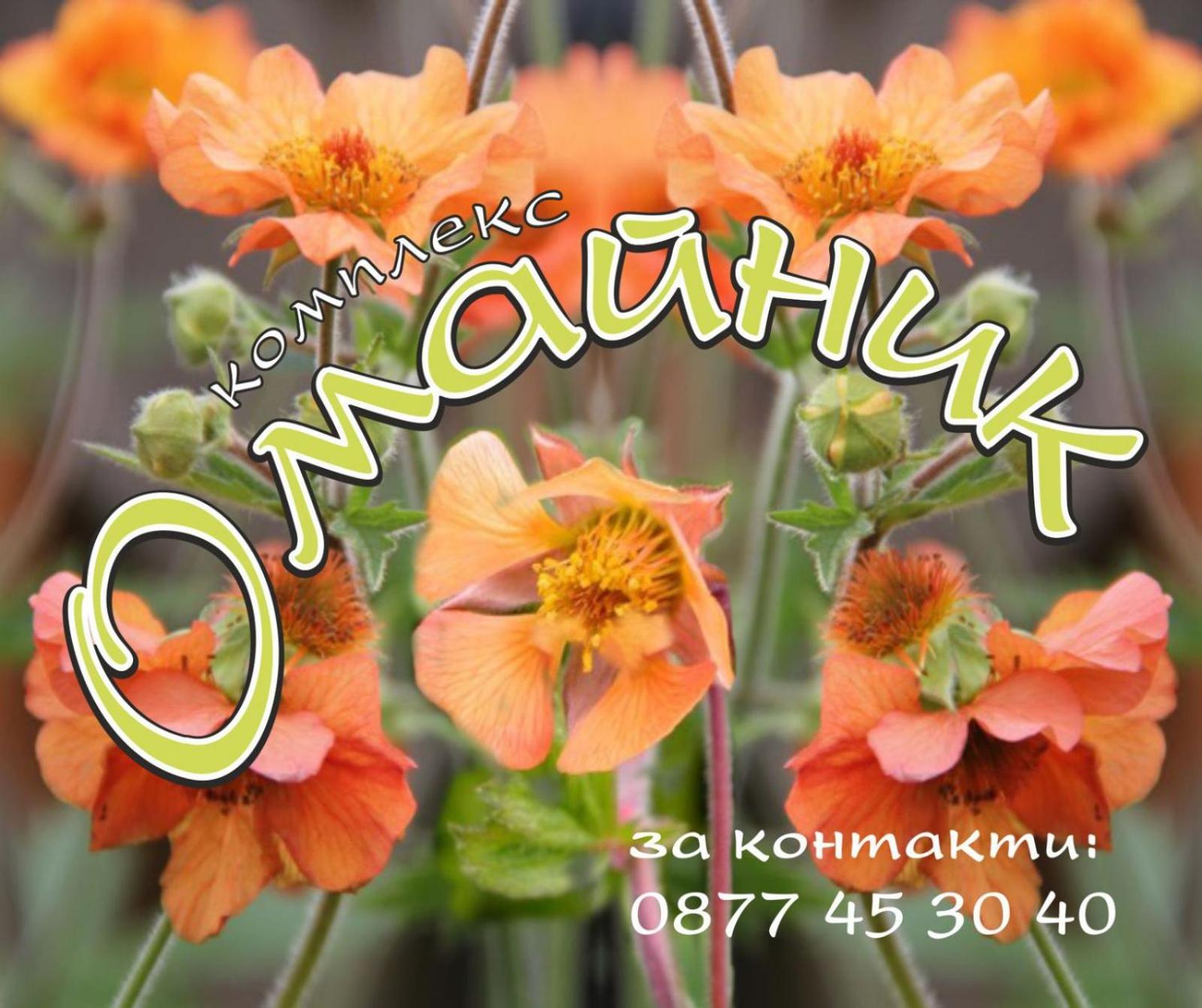 Комплекс Омайник