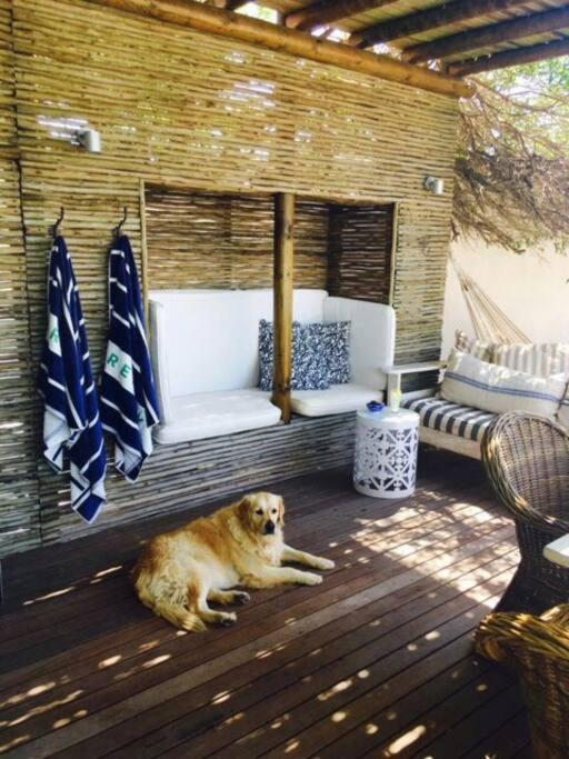 BEACH HOUSE MOSSELRIVIER
