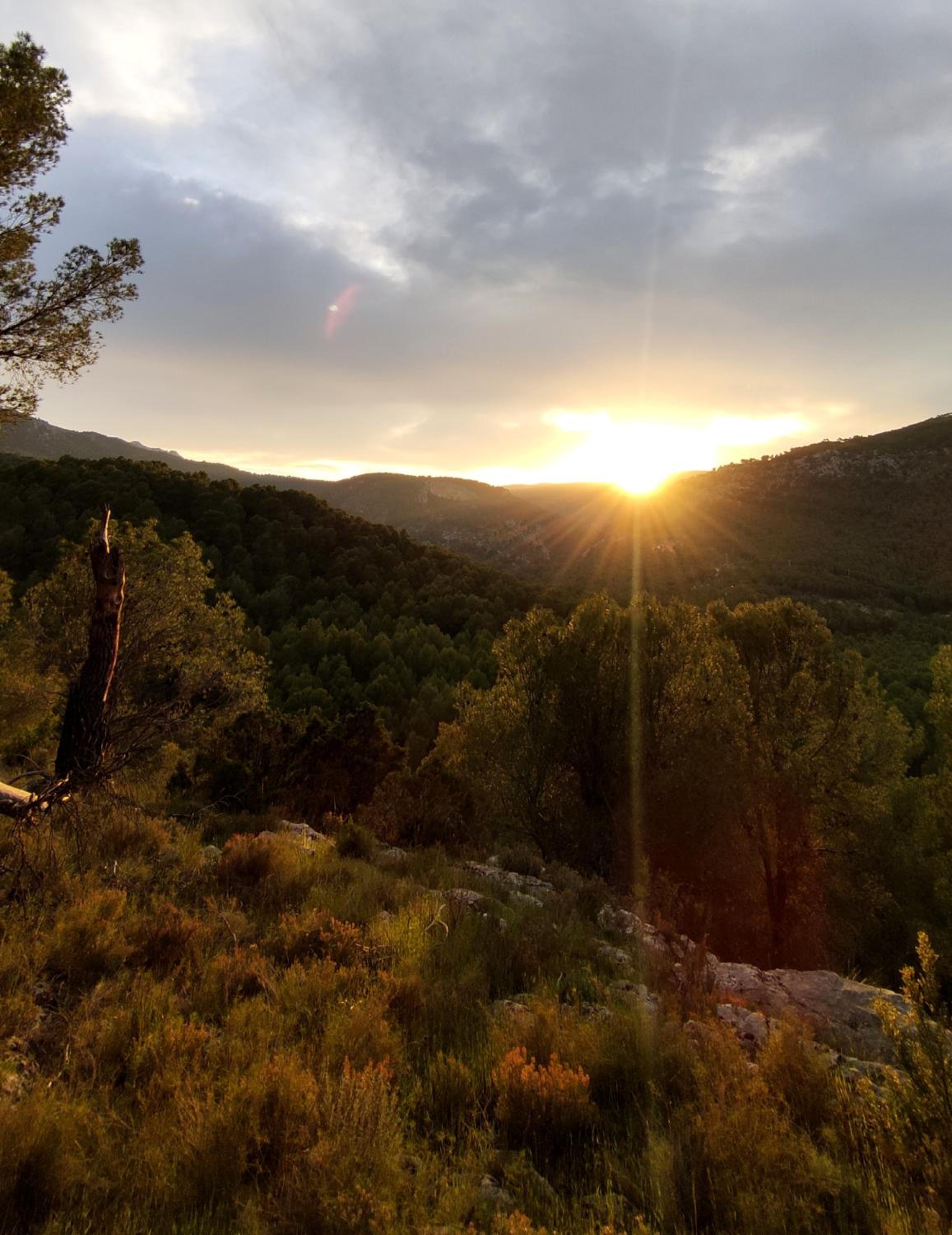 Finca La Celada