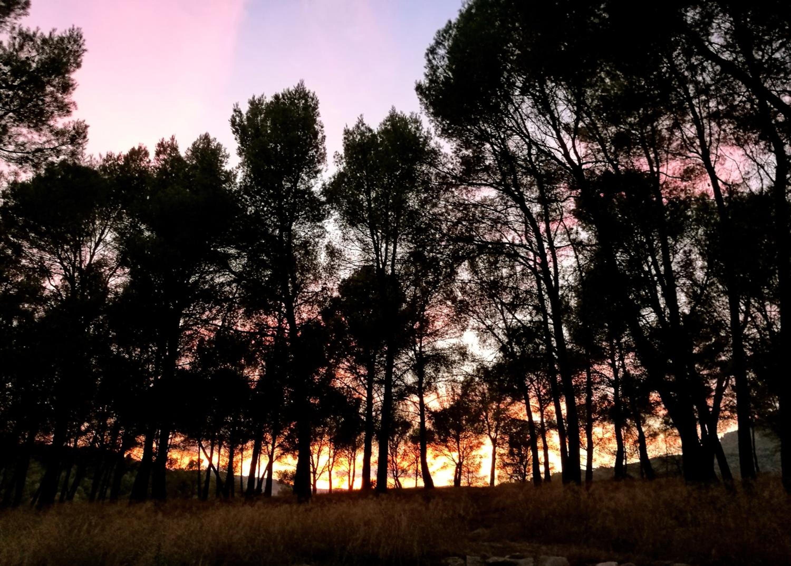 Finca La Celada