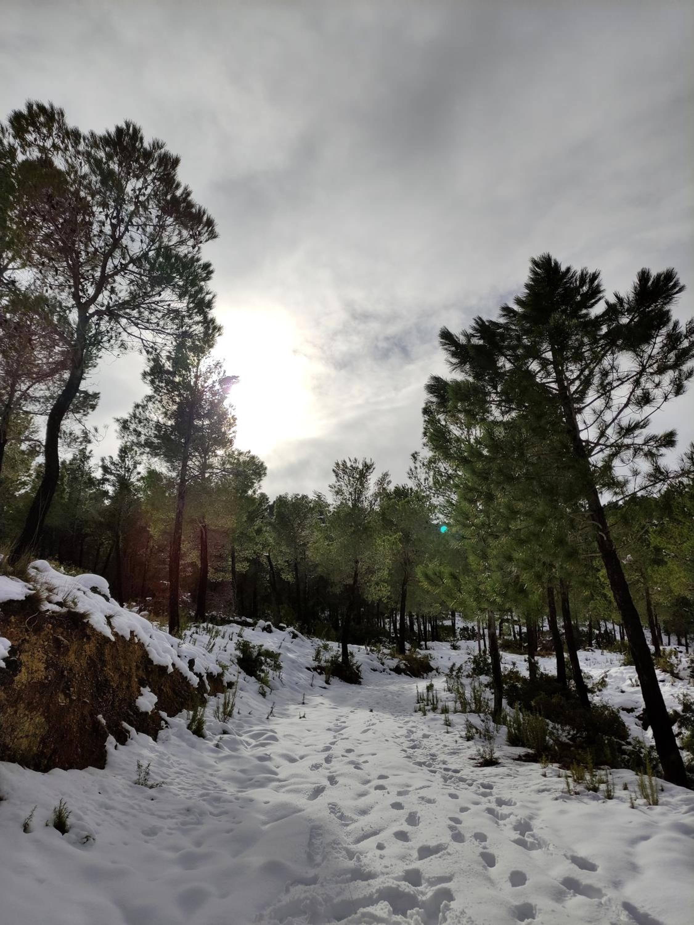 Finca La Celada