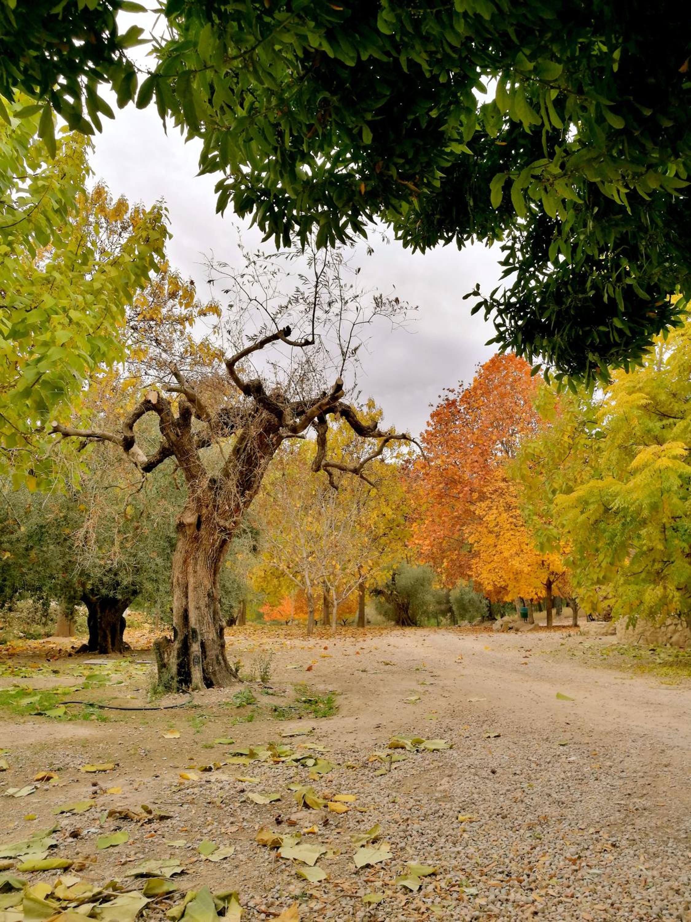 Finca La Celada