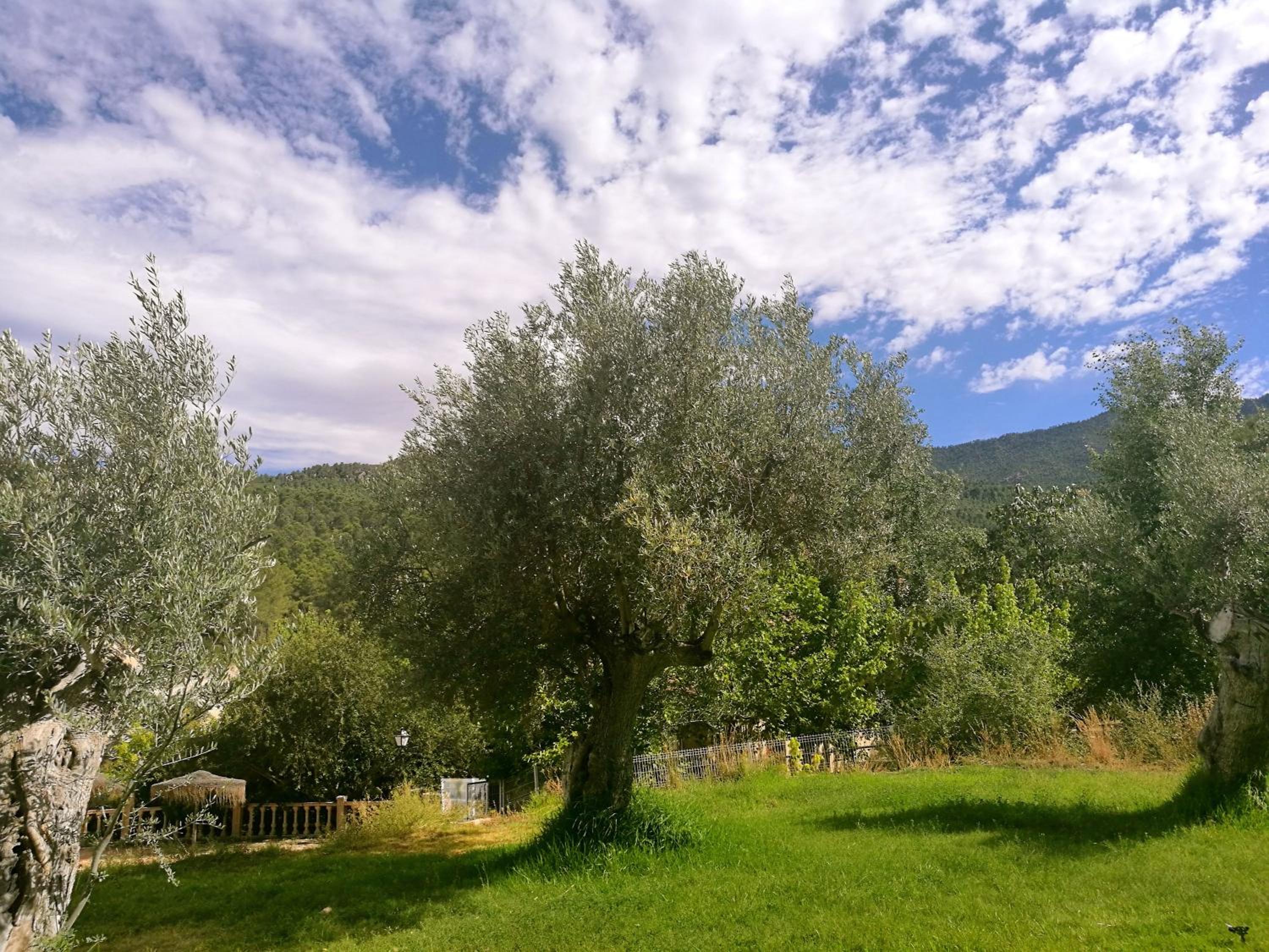 Finca La Celada